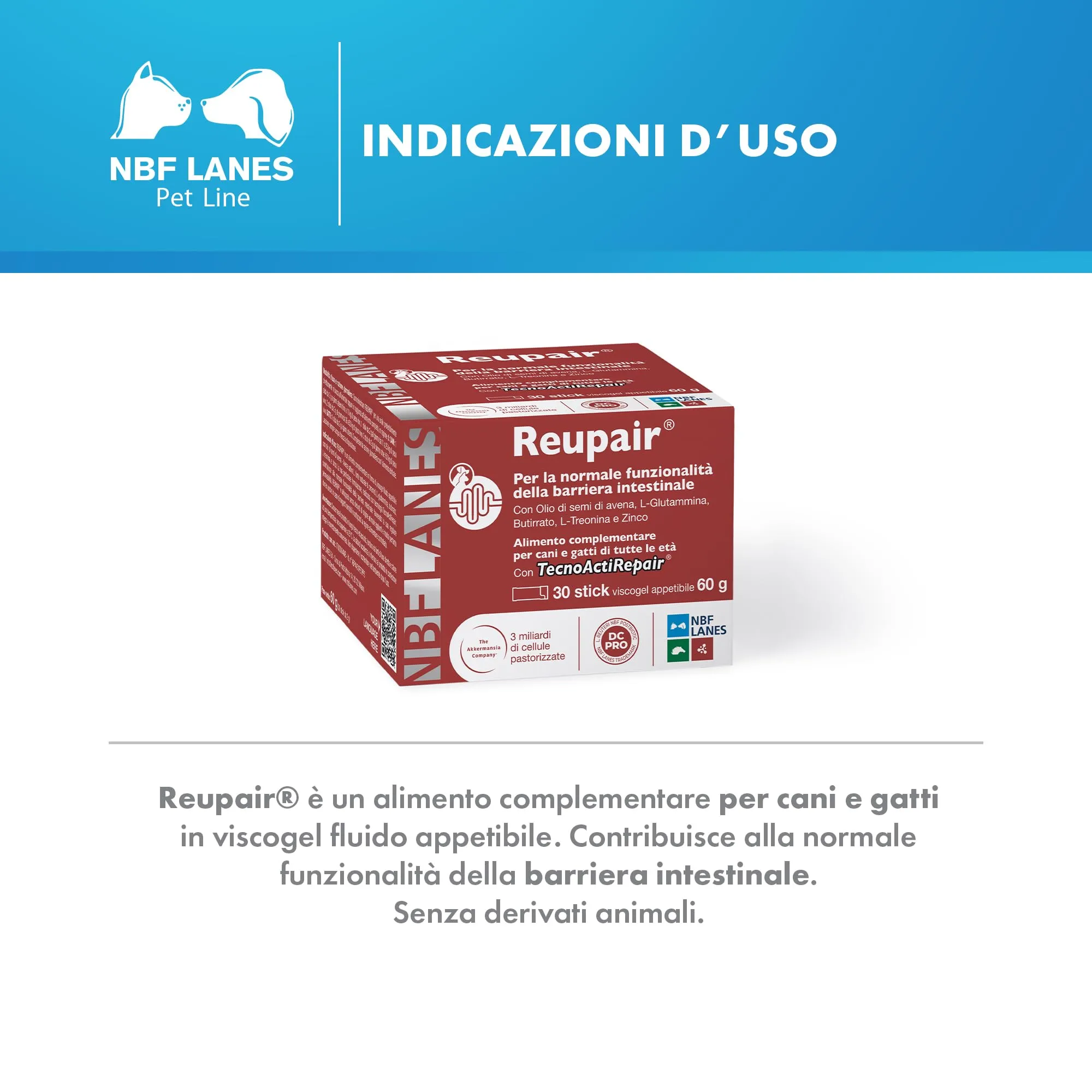 NBF Lanes Reupair Cane e Gatto, Viscogel 30 Stick da 2g (60 g) - immagine 3