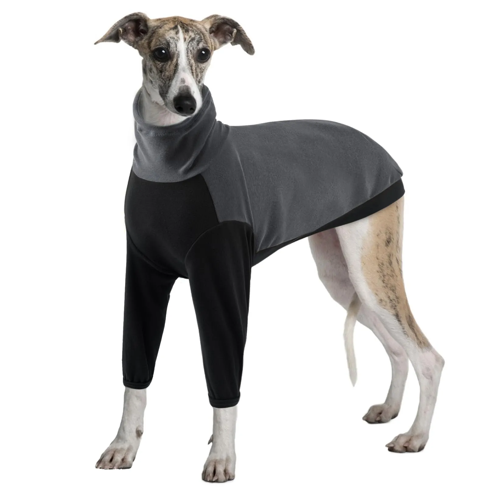 PUMYPOREITY Maglione in pile per Levrieri, Lurcher e Whippet, Grigio, 2XL - immagine 1