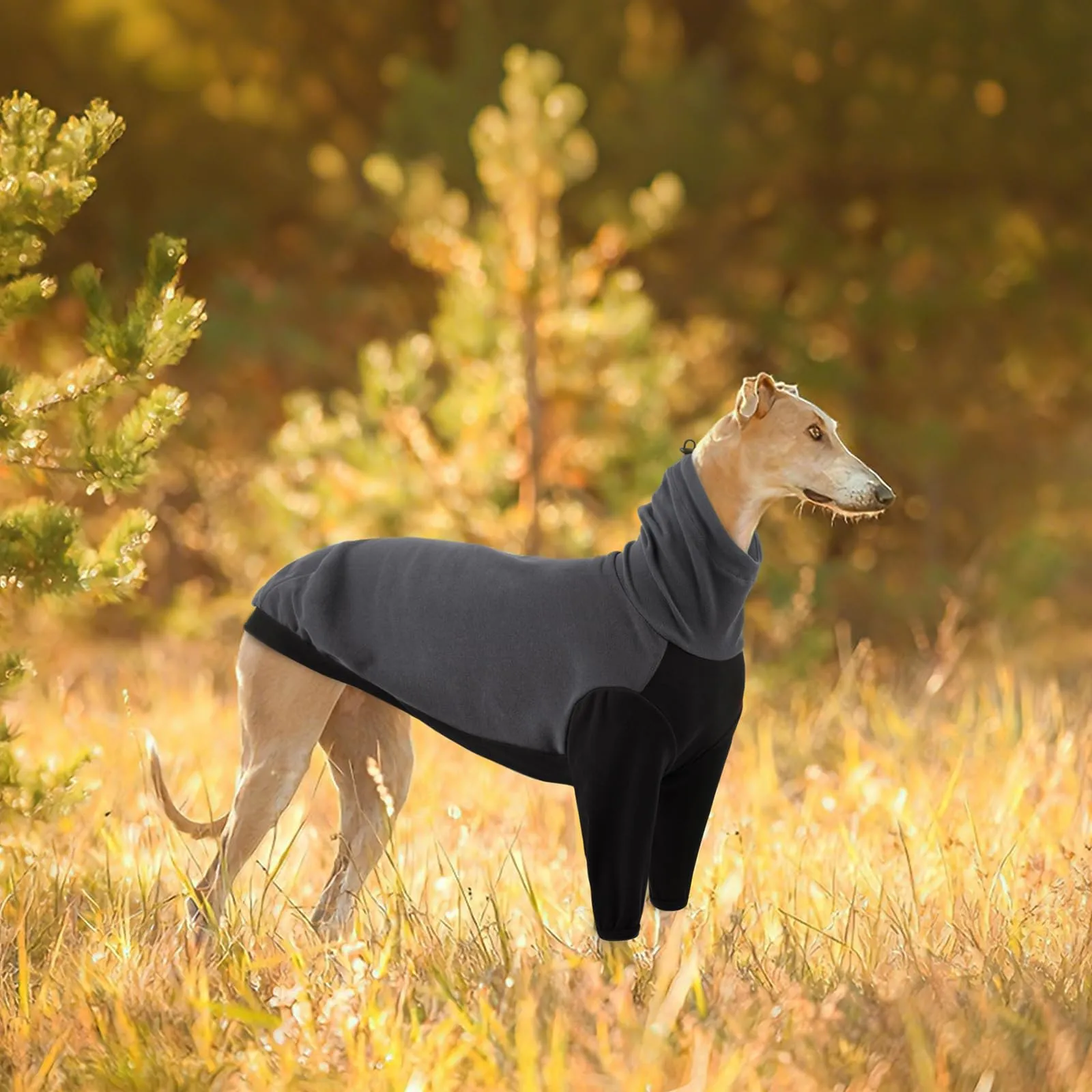 PUMYPOREITY Maglione in pile per Levrieri, Lurcher e Whippet, Grigio, 2XL - immagine 6
