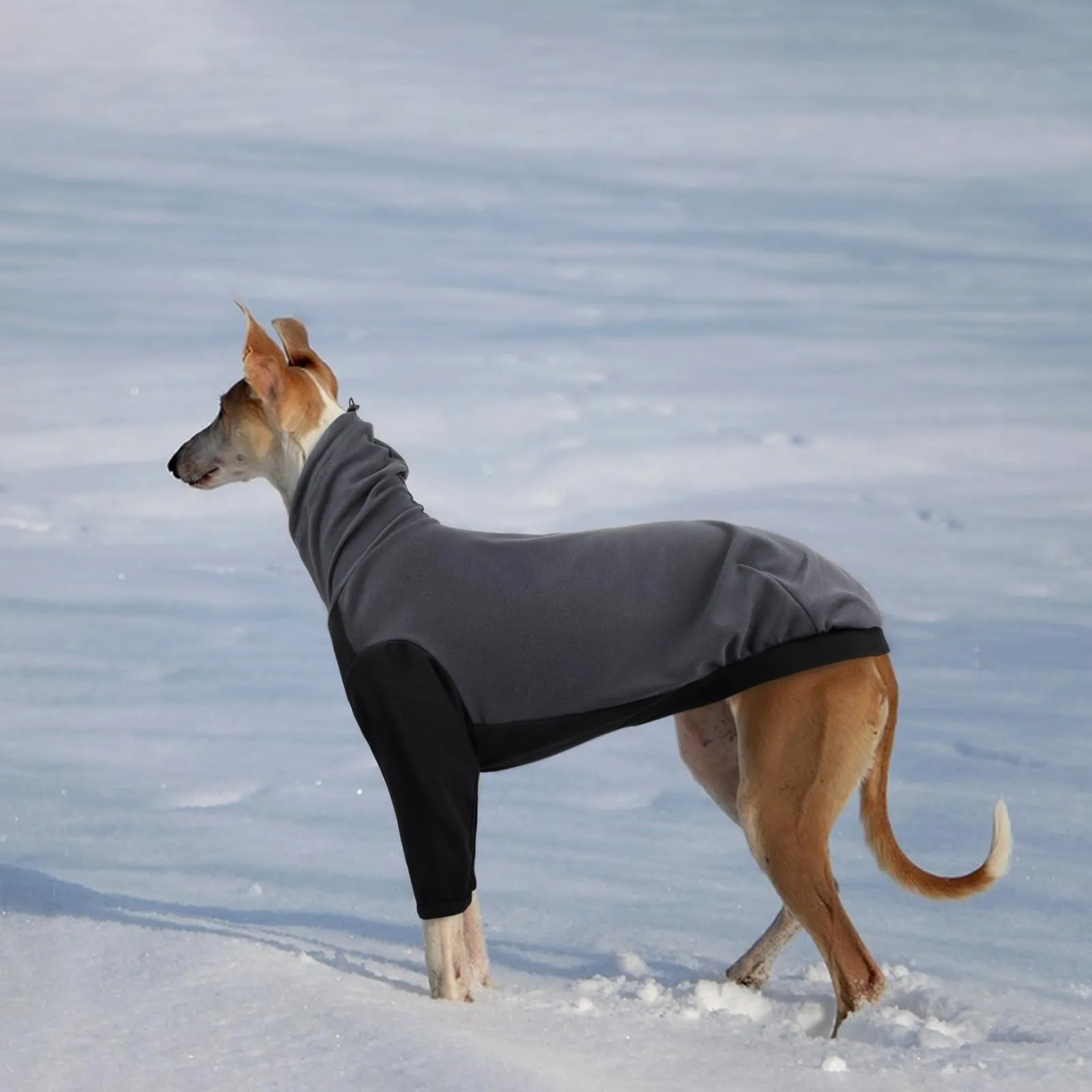 PUMYPOREITY Maglione in pile per Saluki e Levrieri, Grigio, 3XL - immagine 5