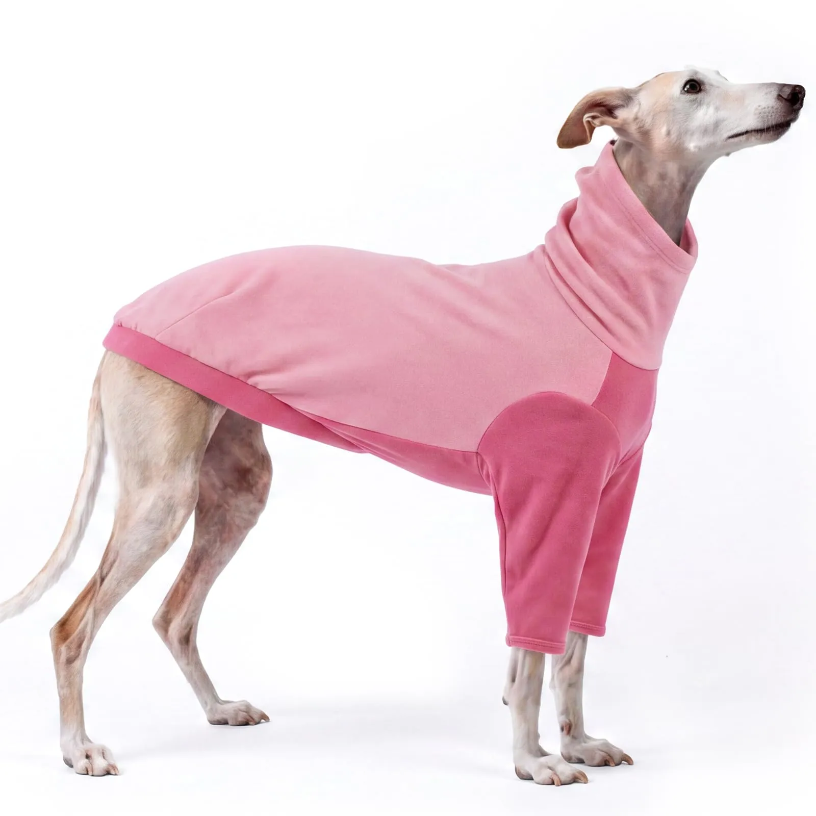 PUMYPOREITY Maglione in pile per levriero italiano, rosa, taglia M - immagine 1