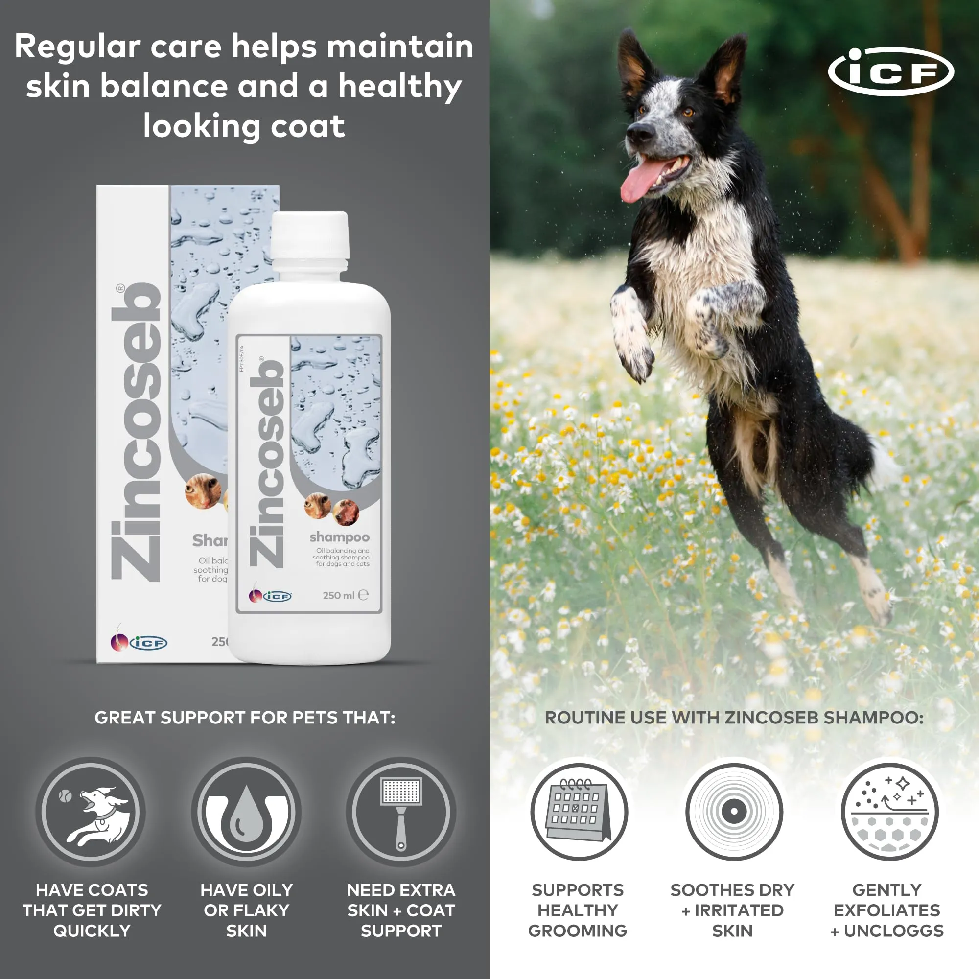 ICF Zincoseb Shampoo per cani e gatti, antimicotico e antibatterico, 250 ml - immagine 5