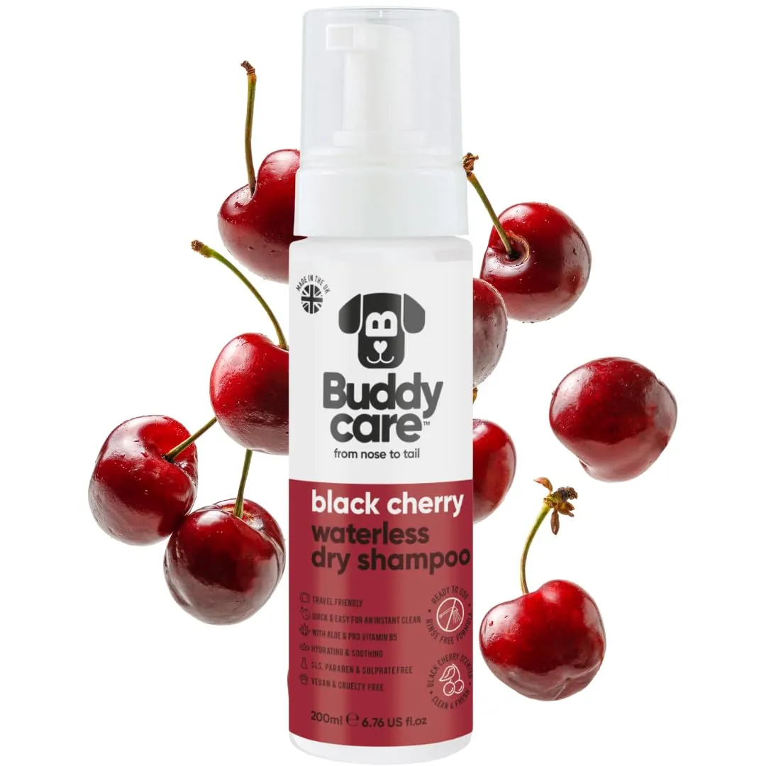 Buddycare Shampoo secco per cani alla ciliegia nera per pelli sensibili, 200 ml - immagine 1