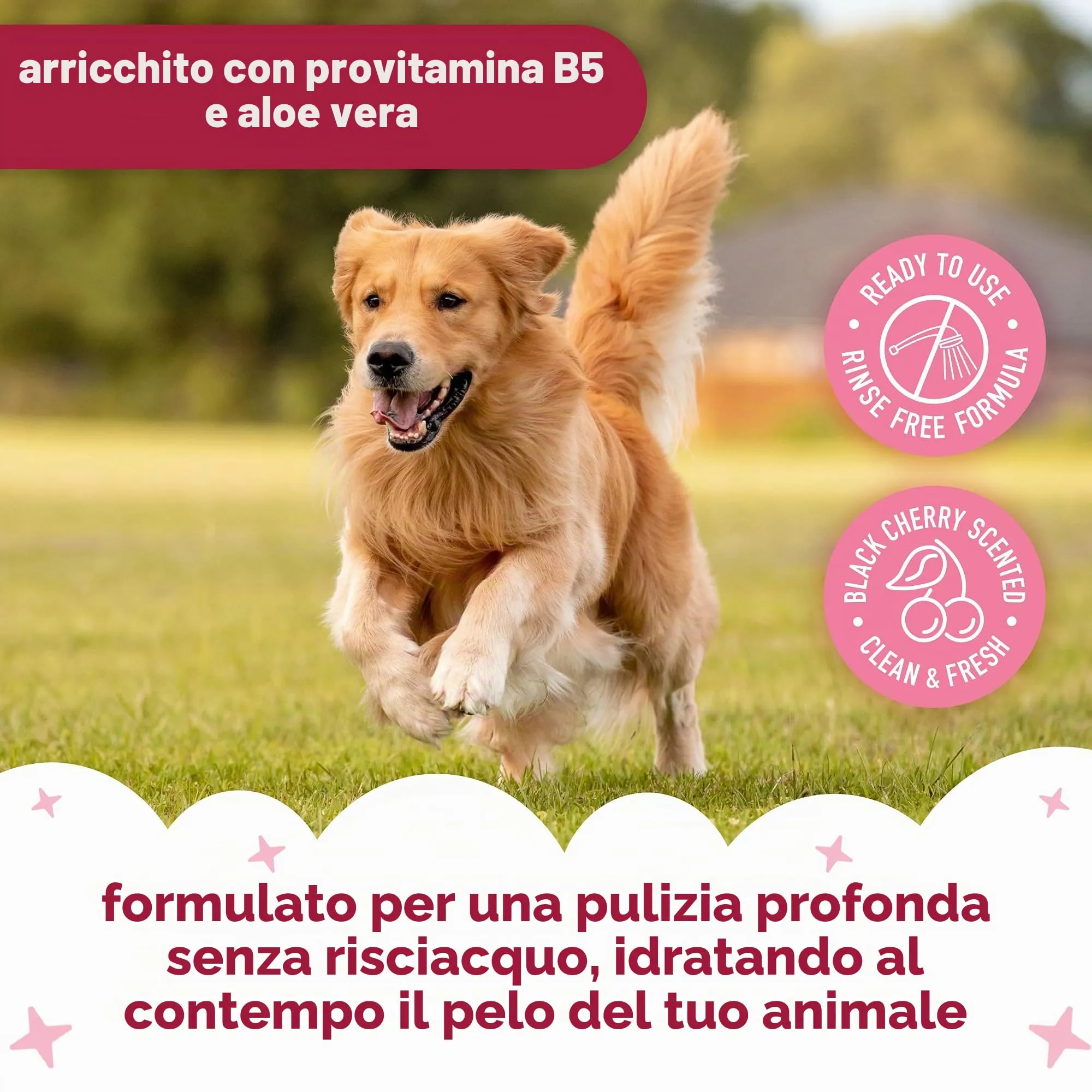 Buddycare Shampoo secco per cani alla ciliegia nera per pelli sensibili, 200 ml - immagine 3