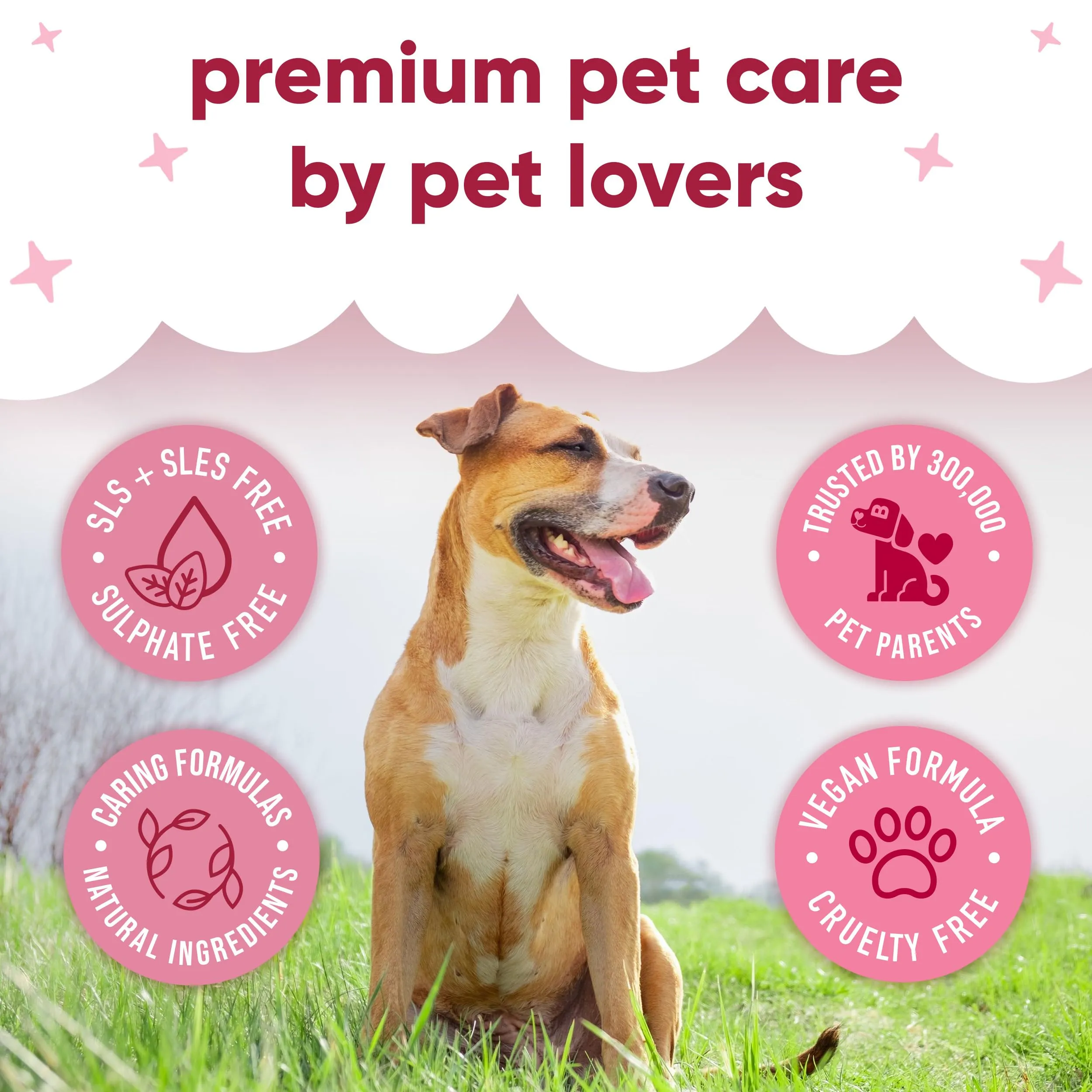 Buddycare Shampoo secco per cani alla ciliegia nera per pelli sensibili, 200 ml - immagine 5