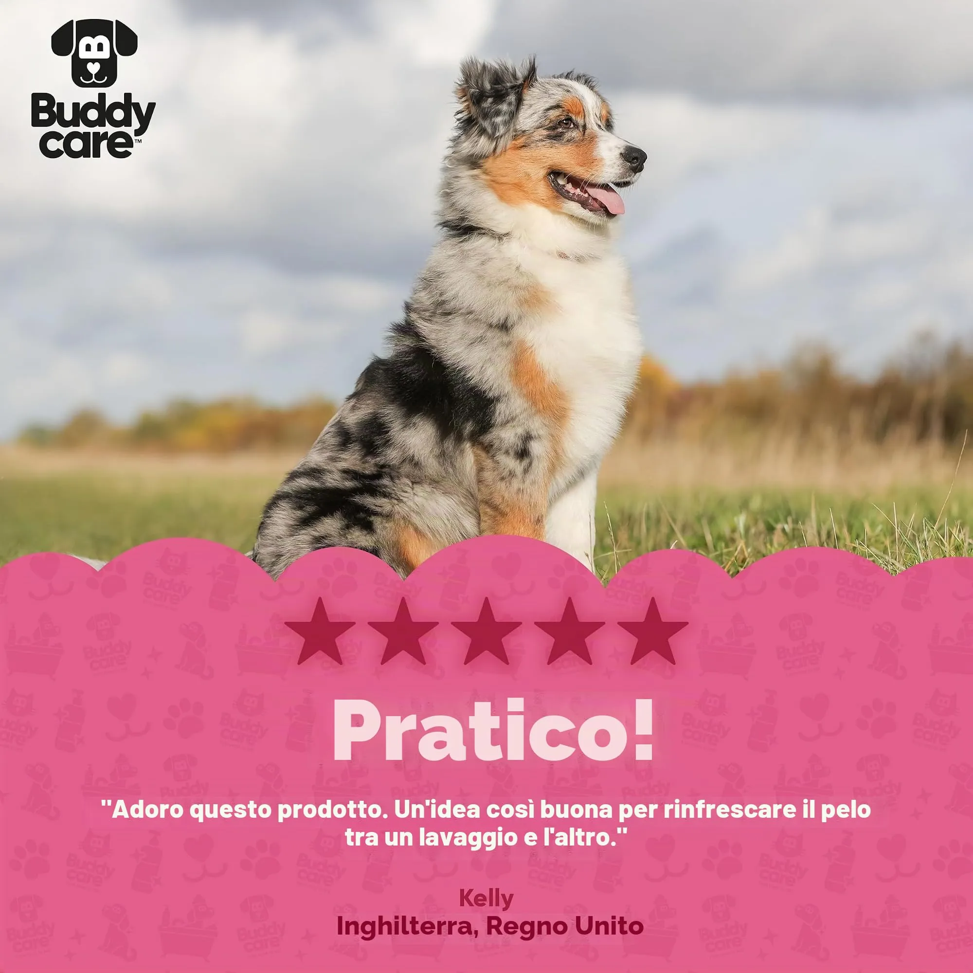 Buddycare Shampoo secco per cani alla ciliegia nera per pelli sensibili, 200 ml - immagine 7