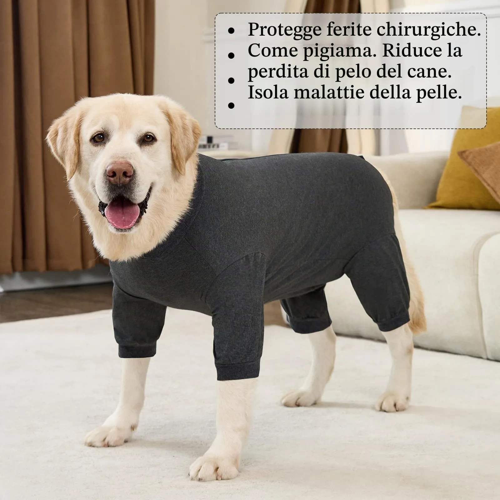 Cyponpy Tuta Post Operatoria per Cani con Zampe e Cerniera, Body Chirurgico Protettivo per Sterilizzazione, Grigio, Taglia L - immagine 7