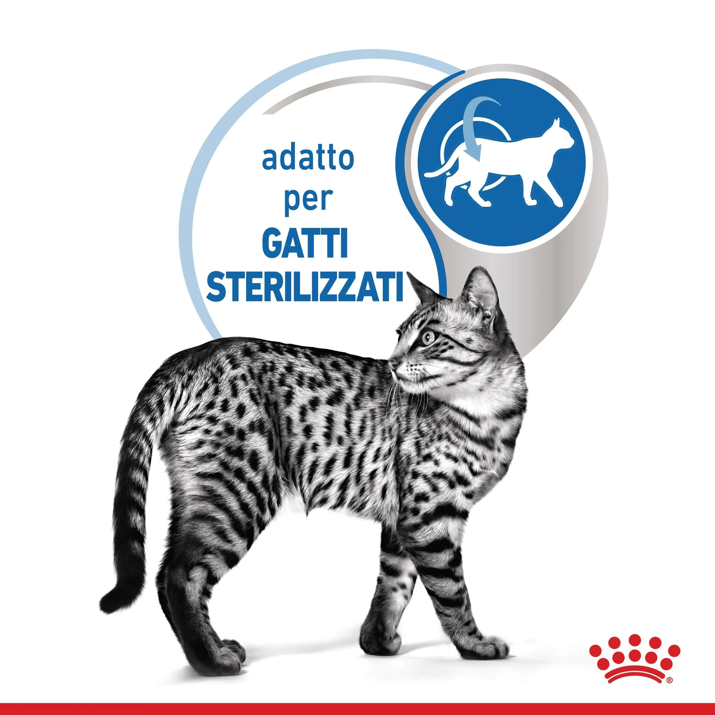 Royal Canin Indoor Sterilised - Alimento umido completo per gatti 12 x 85g - immagine 4