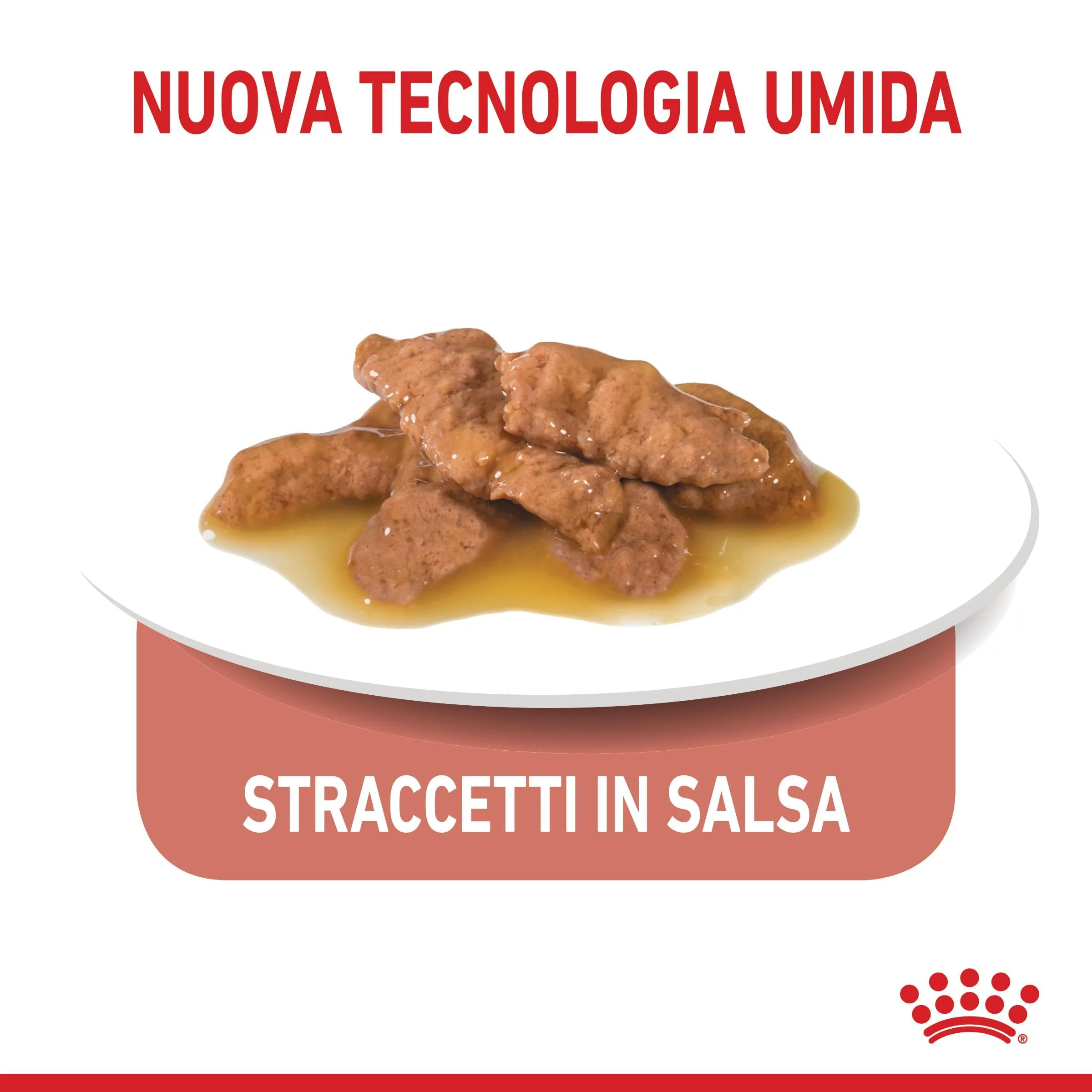 Royal Canin Indoor Sterilised - Alimento umido completo per gatti 12 x 85g - immagine 5