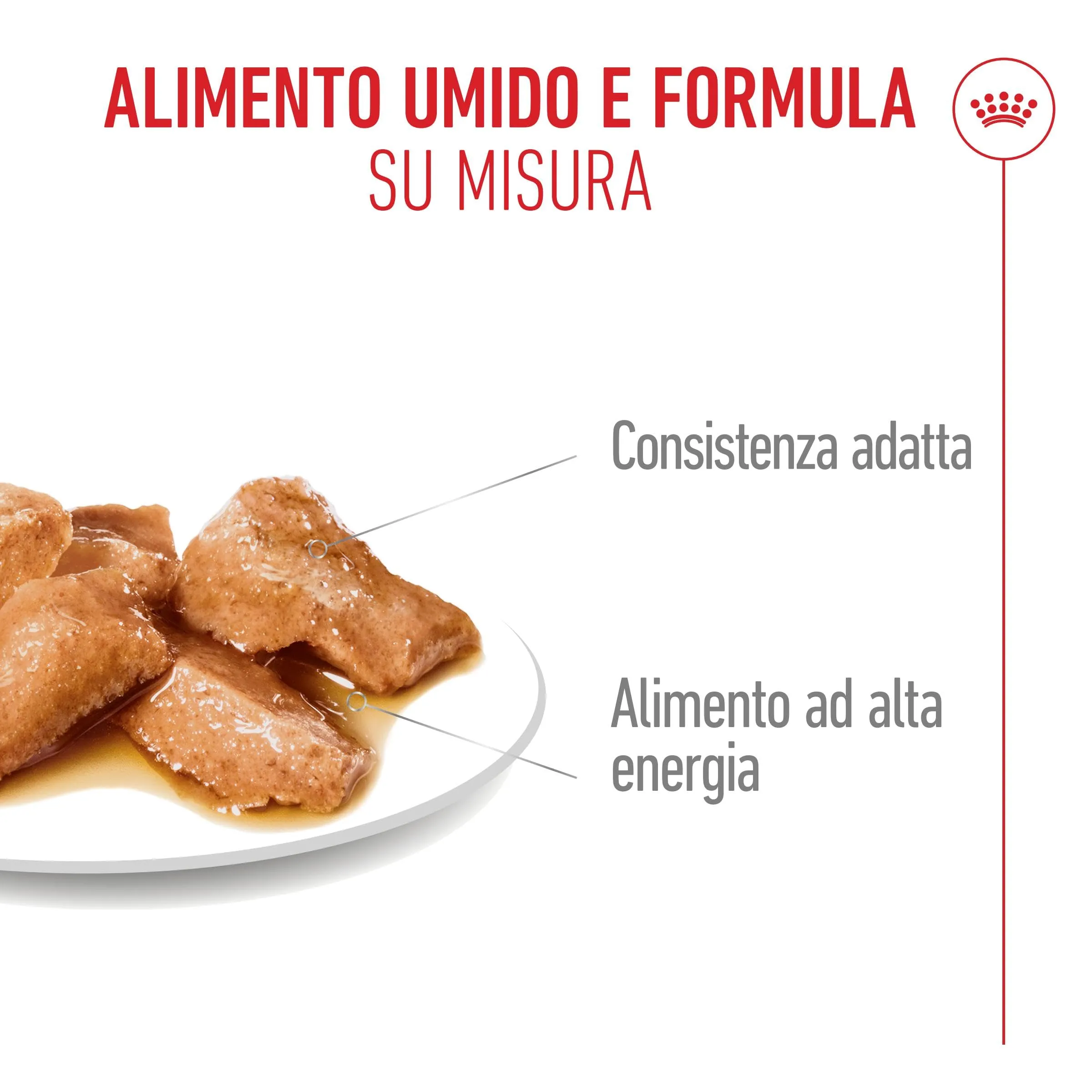 Royal Canin Maine Coon Adult Fettine in salsa per gatti adulti, 12 x 85g - immagine 4