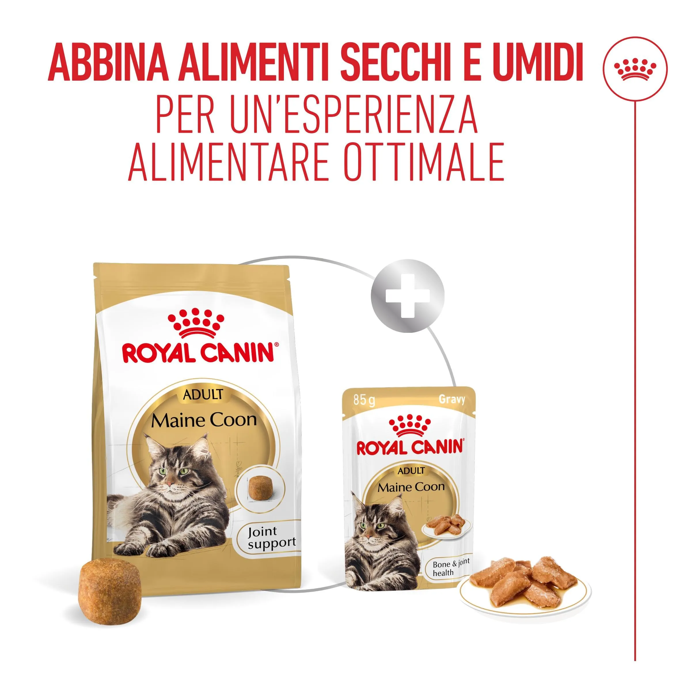 Royal Canin Maine Coon Adult Fettine in salsa per gatti adulti, 12 x 85g - immagine 5
