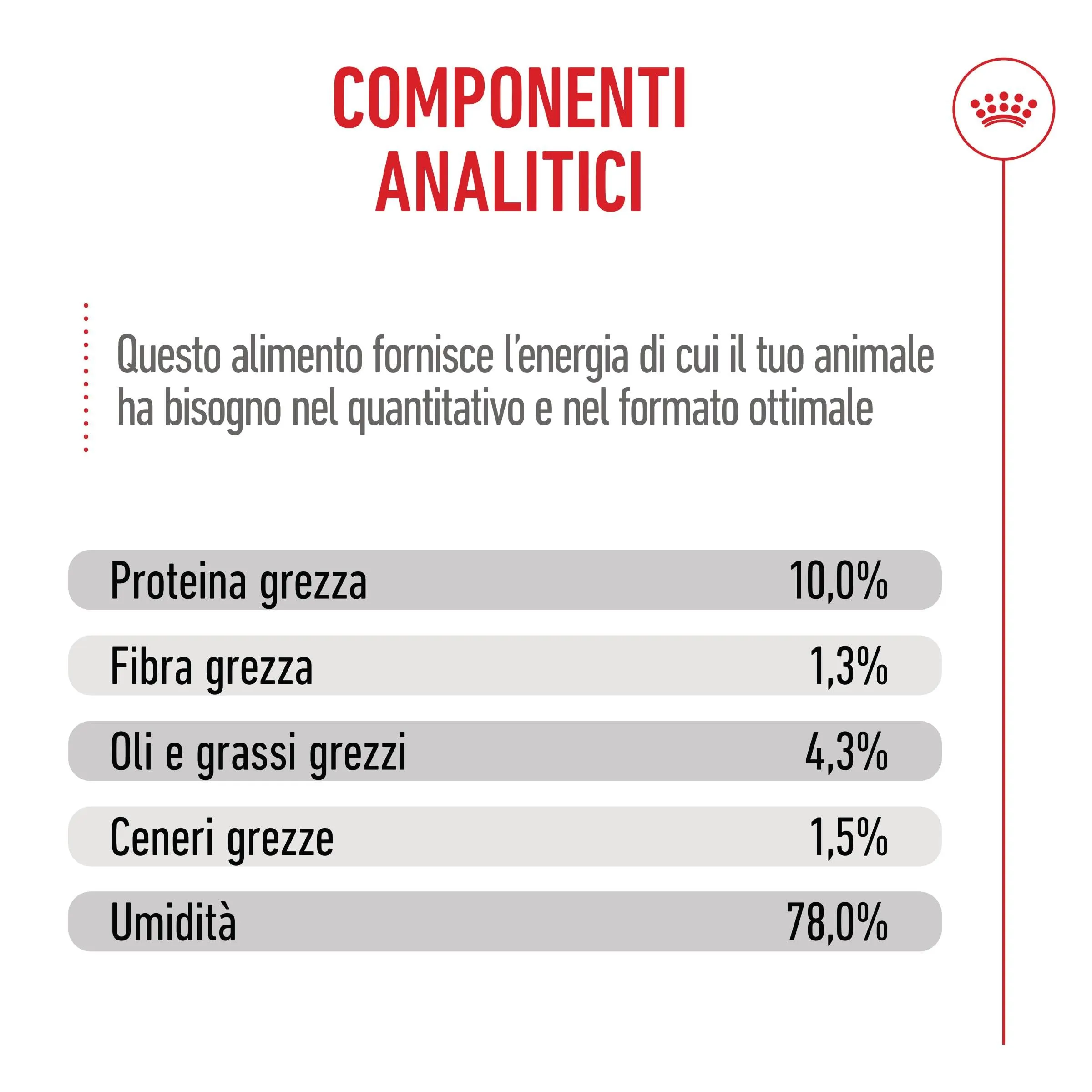 Royal Canin Maine Coon Adult Fettine in salsa per gatti adulti, 12 x 85g - immagine 6