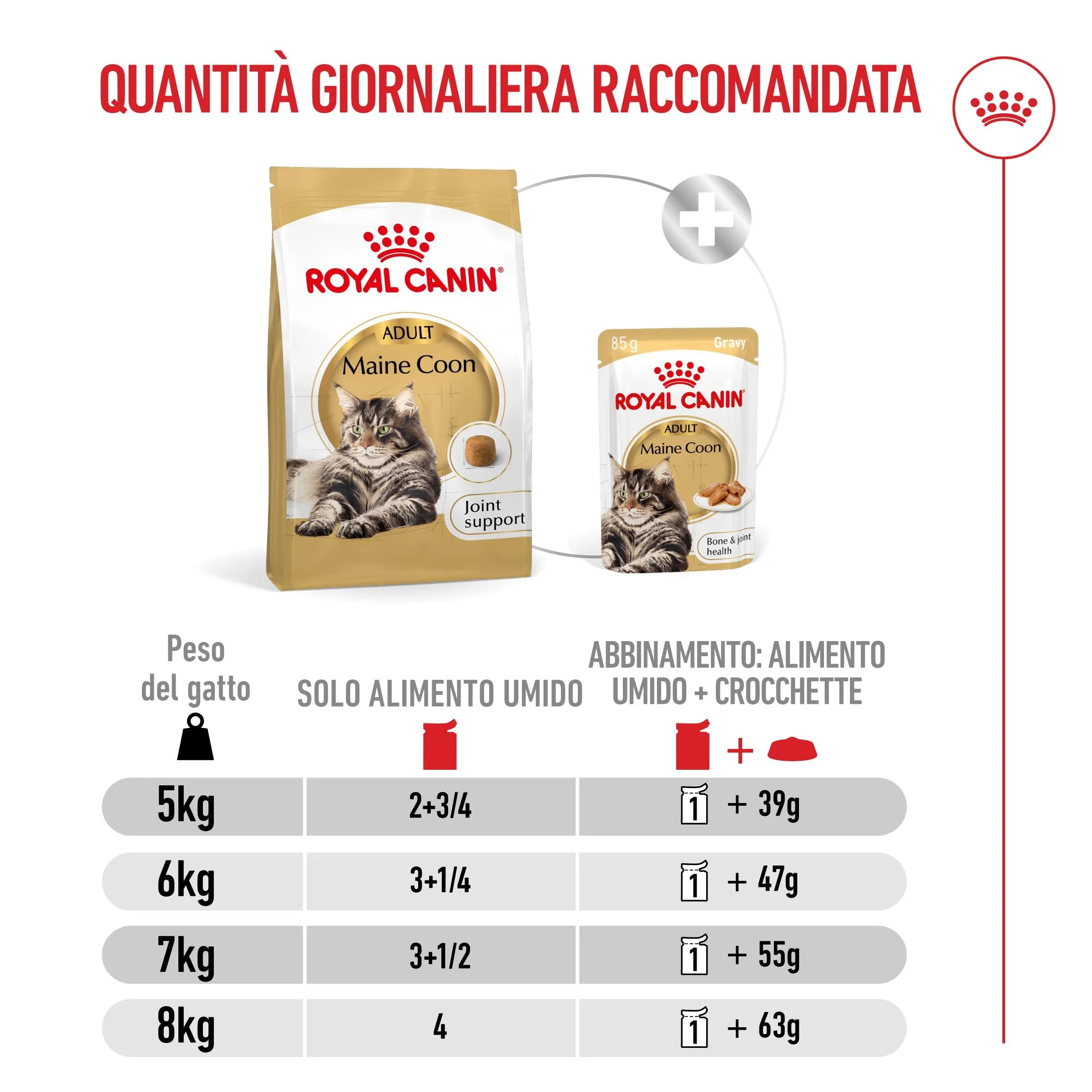 Royal Canin Maine Coon Adult Fettine in salsa per gatti adulti, 12 x 85g - immagine 7