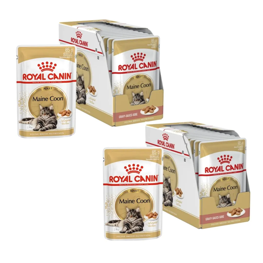 Royal Canin Maine Coon Adult Cibo Umido per Gatti, 2 x 12 x 85 g - immagine 1