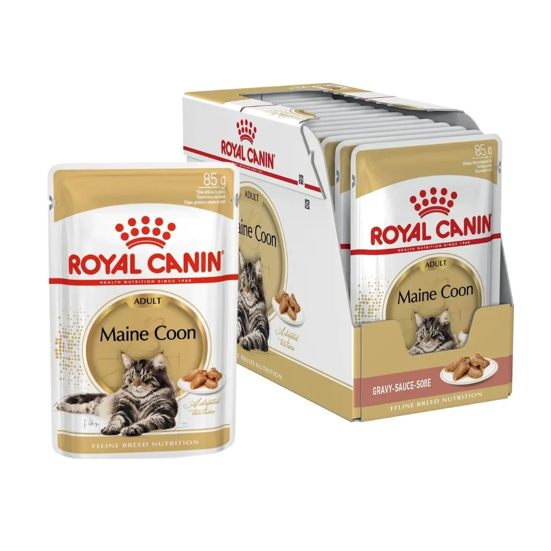 Royal Canin Maine Coon Adult Cibo Umido per Gatti, 2 x 12 x 85 g - immagine 2