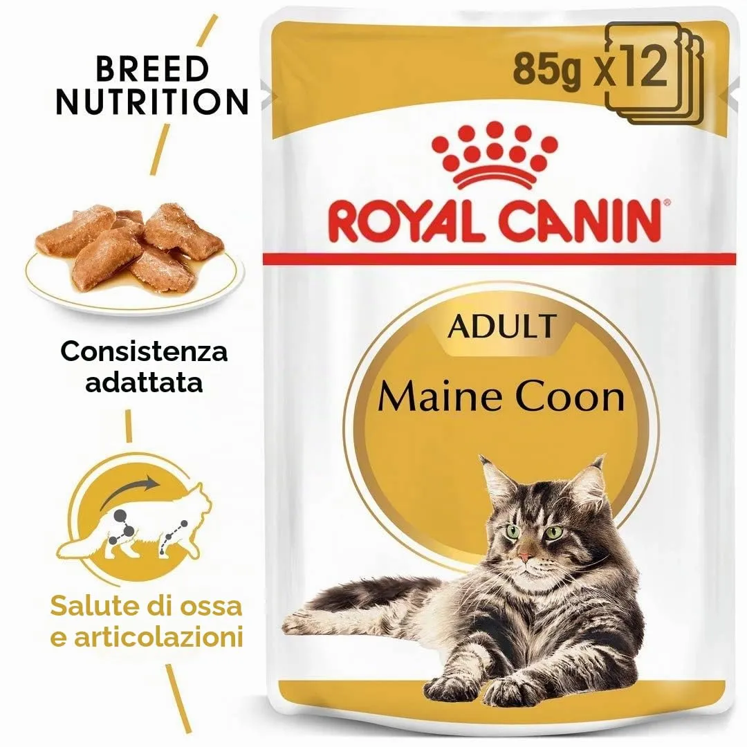 Royal Canin Maine Coon Adult Cibo Umido per Gatti, 2 x 12 x 85 g - immagine 4