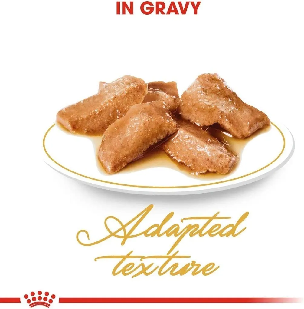 Royal Canin Maine Coon Adult Cibo Umido per Gatti, 2 x 12 x 85 g - immagine 5