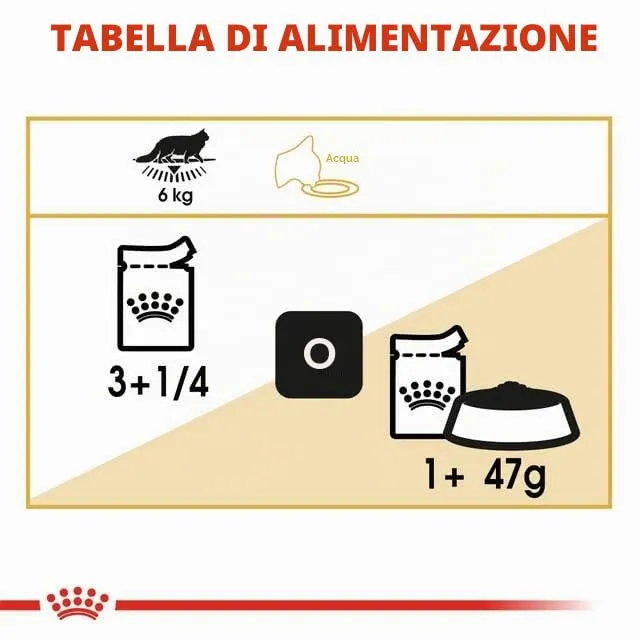 Royal Canin Maine Coon Adult Cibo Umido per Gatti, 2 x 12 x 85 g - immagine 8