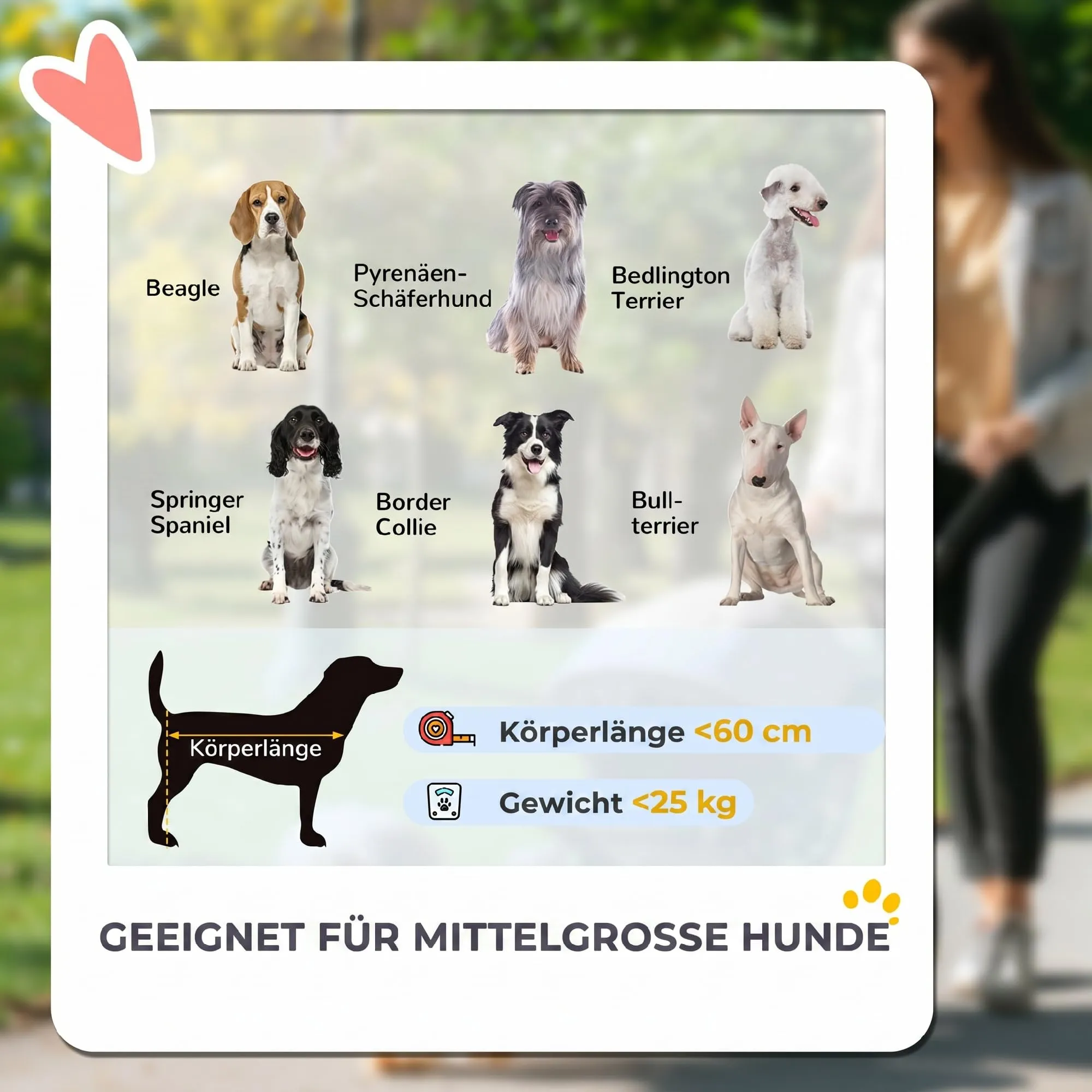 PawHut Passeggino Pieghevole per Cani e Gatti fino a 25 kg, Marrone - immagine 4