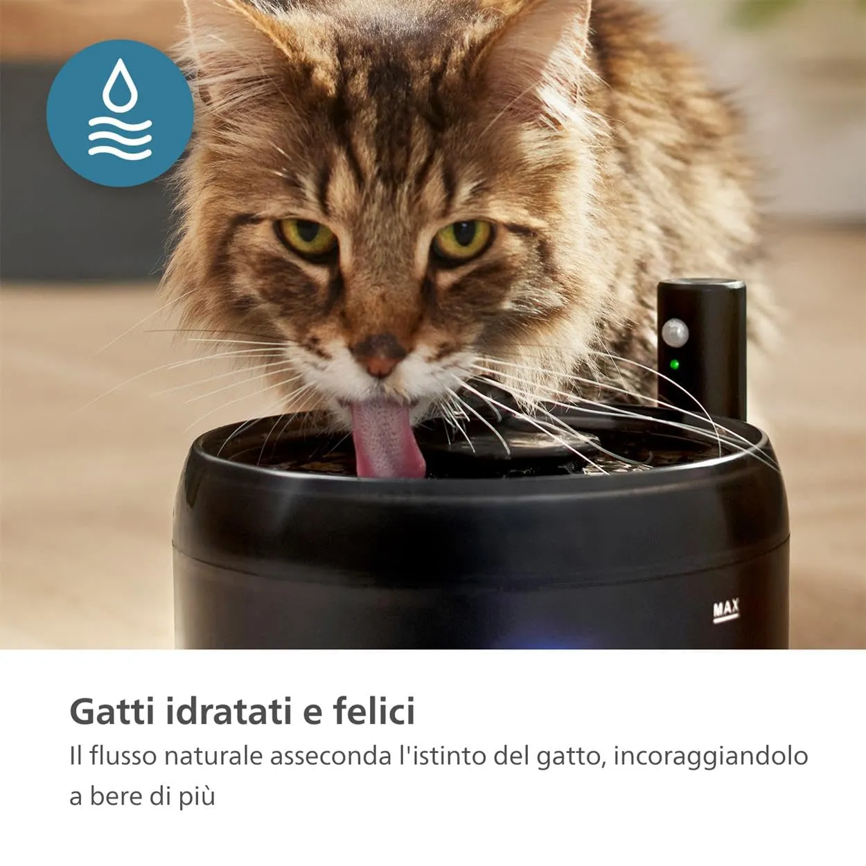 Philips Pet Fontanella per Gatti Intelligente, 2,2 L, PAW3210/02 - immagine 4