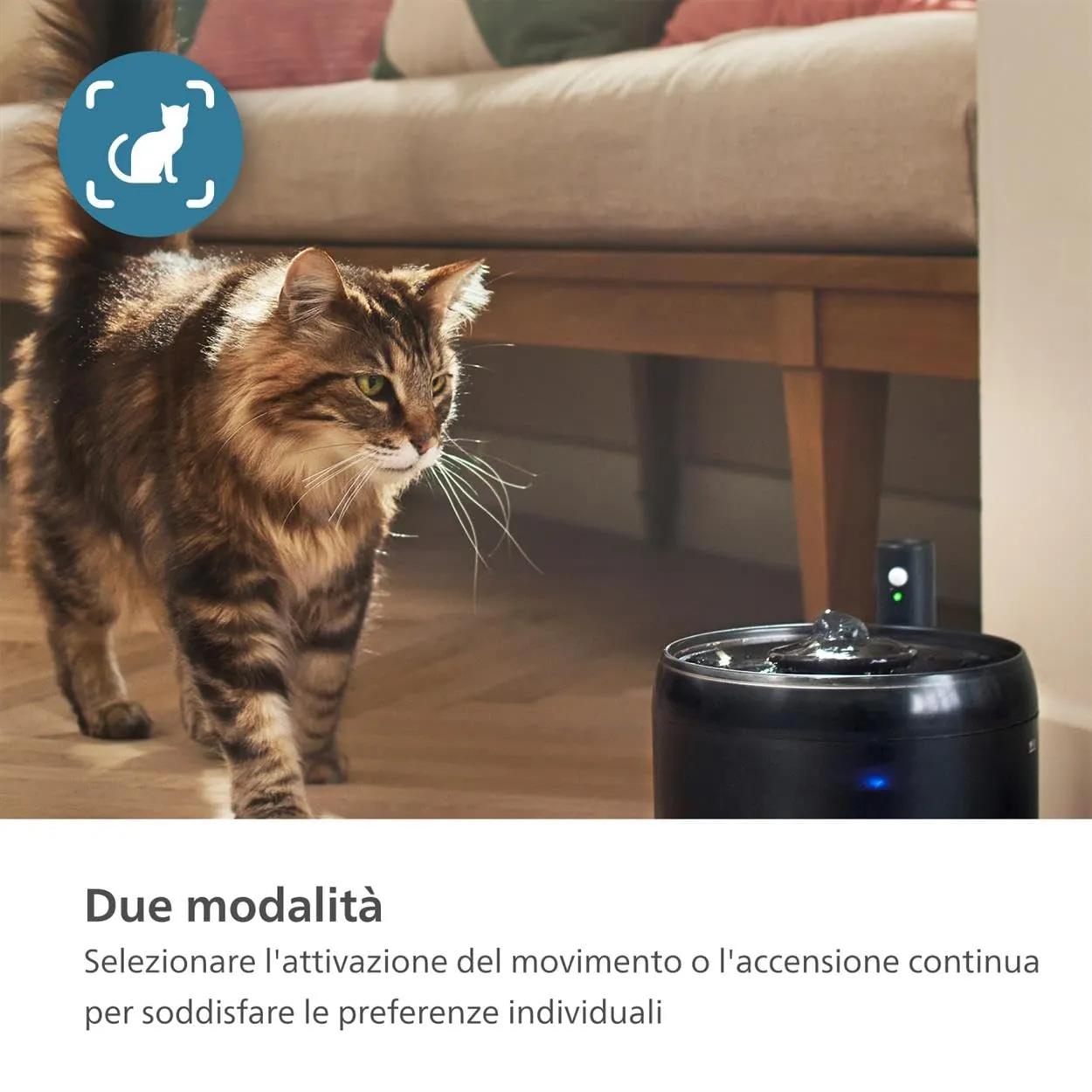 Philips Pet Fontanella per Gatti Intelligente, 2,2 L, PAW3210/02 - immagine 5