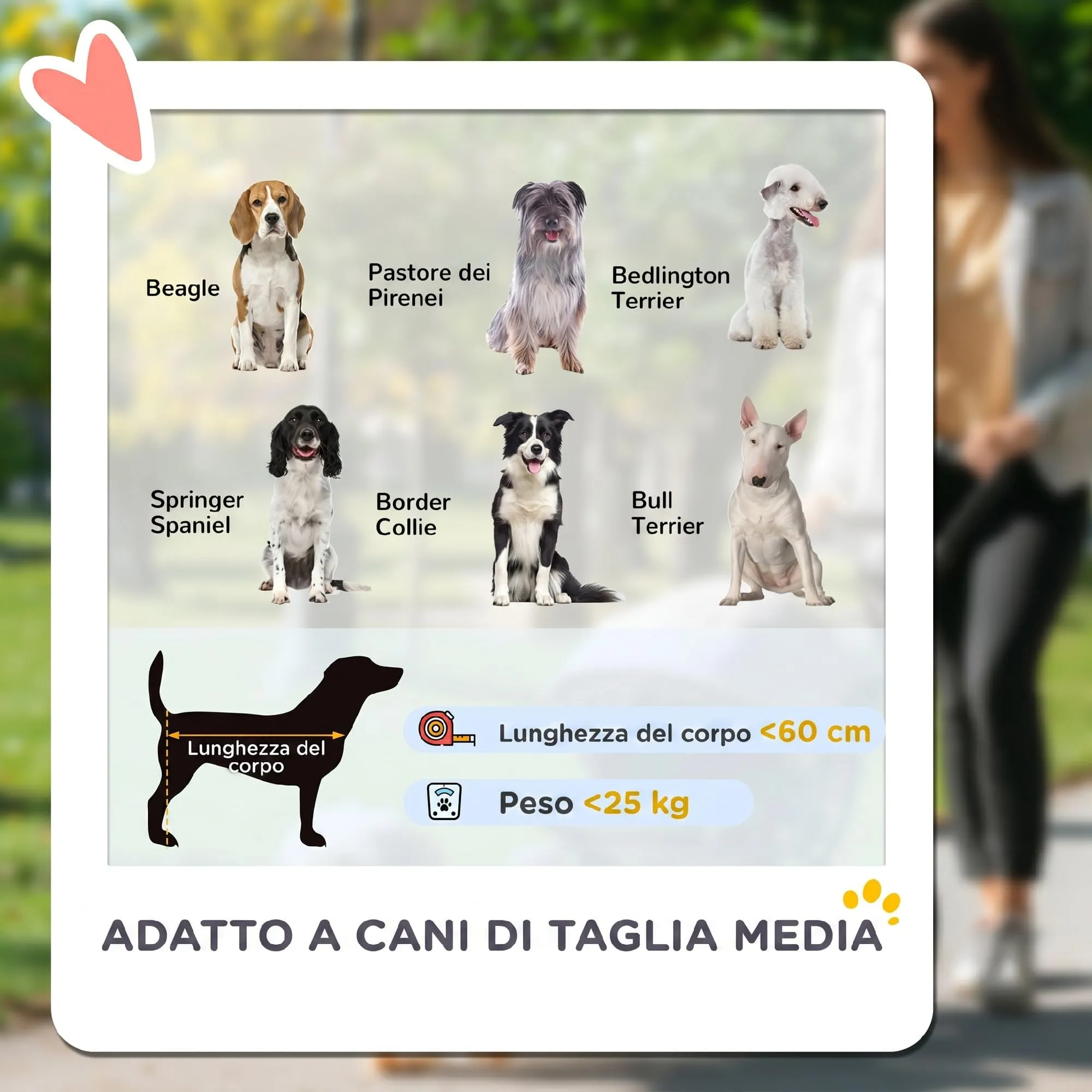 PawHut Passeggino per Cani Taglia Media Pieghevole con Cuscino, Grigio - immagine 4