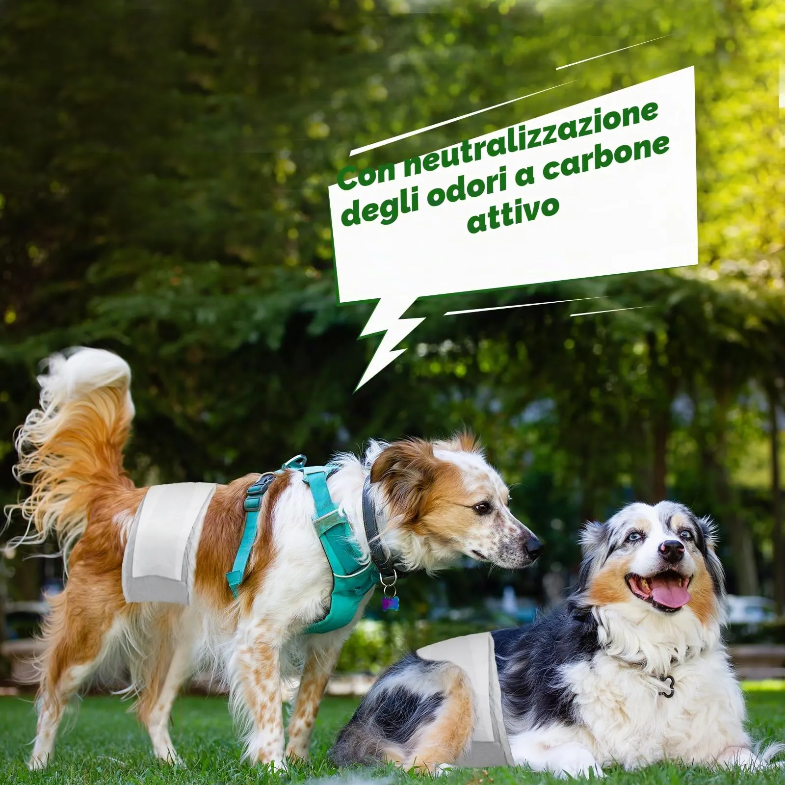 Flying Paws Pannolini per cani maschi, S, 48 pezzi, con carbone attivo - immagine 9