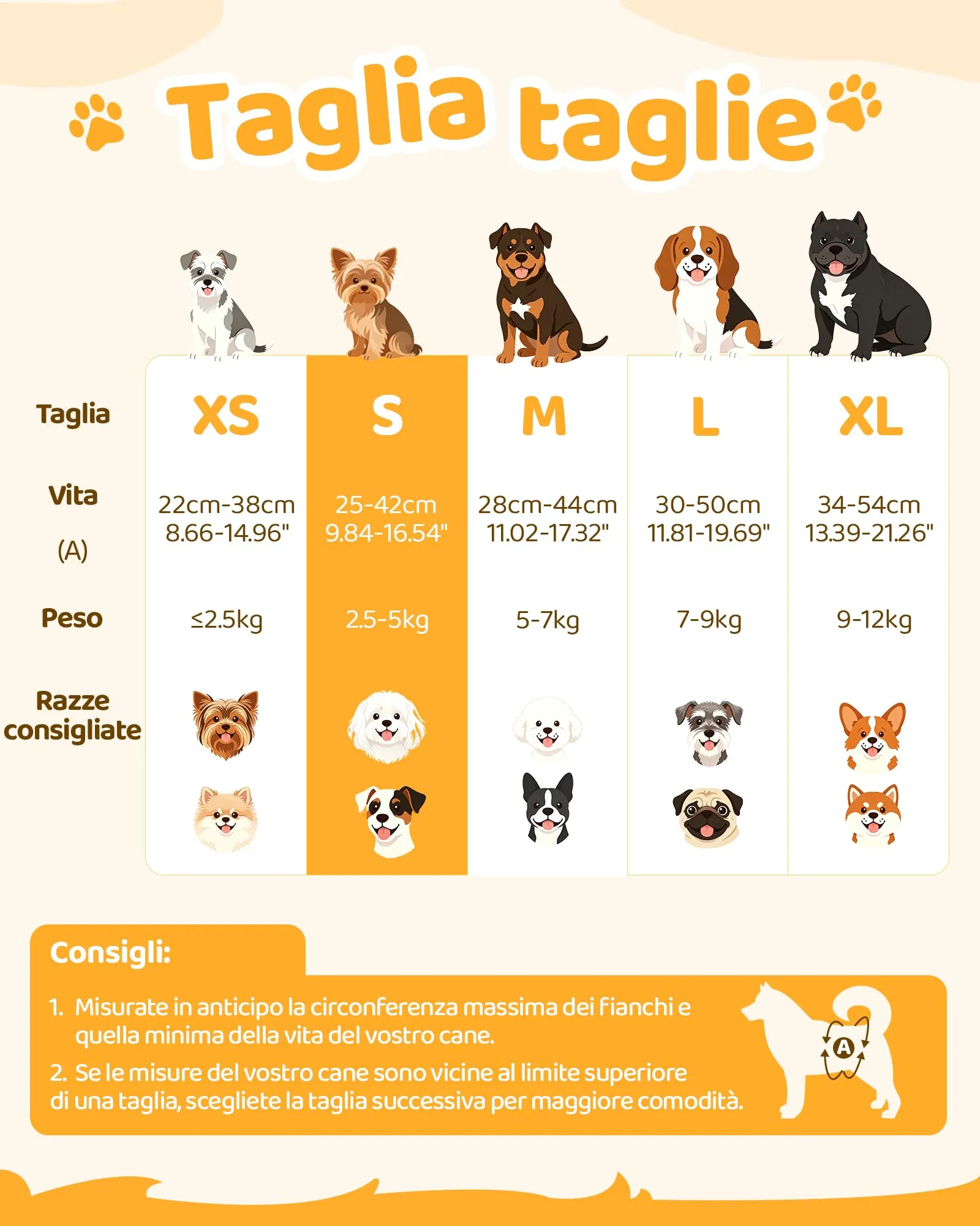 Flying Paws Pannolini Cane Usa e Getta Femmina con Elastico in Vita, S-30 - immagine 6
