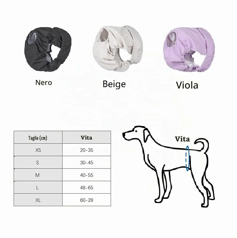 BePetMia Pannolini Lavabili per Cagne, Mutande Riutilizzabili Assorbenti (Viola, S) - immagine 7
