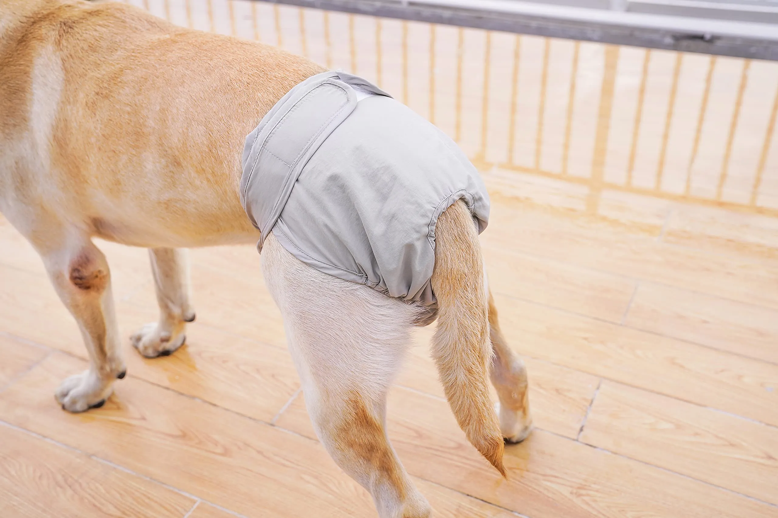 BePetMia Pannolini Lavabili per Cani Femmine, Mutande Riutilizzabili Assorbenti, Beige, M - immagine 5
