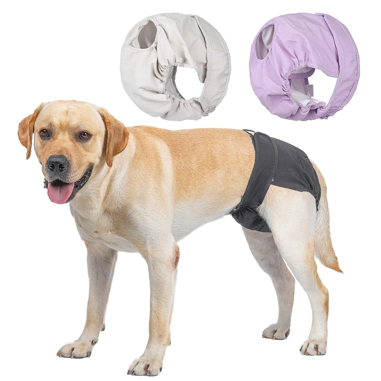 BePetMia Pannolini Lavabili per Cani Femmine, Mutande Riutilizzabili Assorbenti, Beige, M - immagine 8