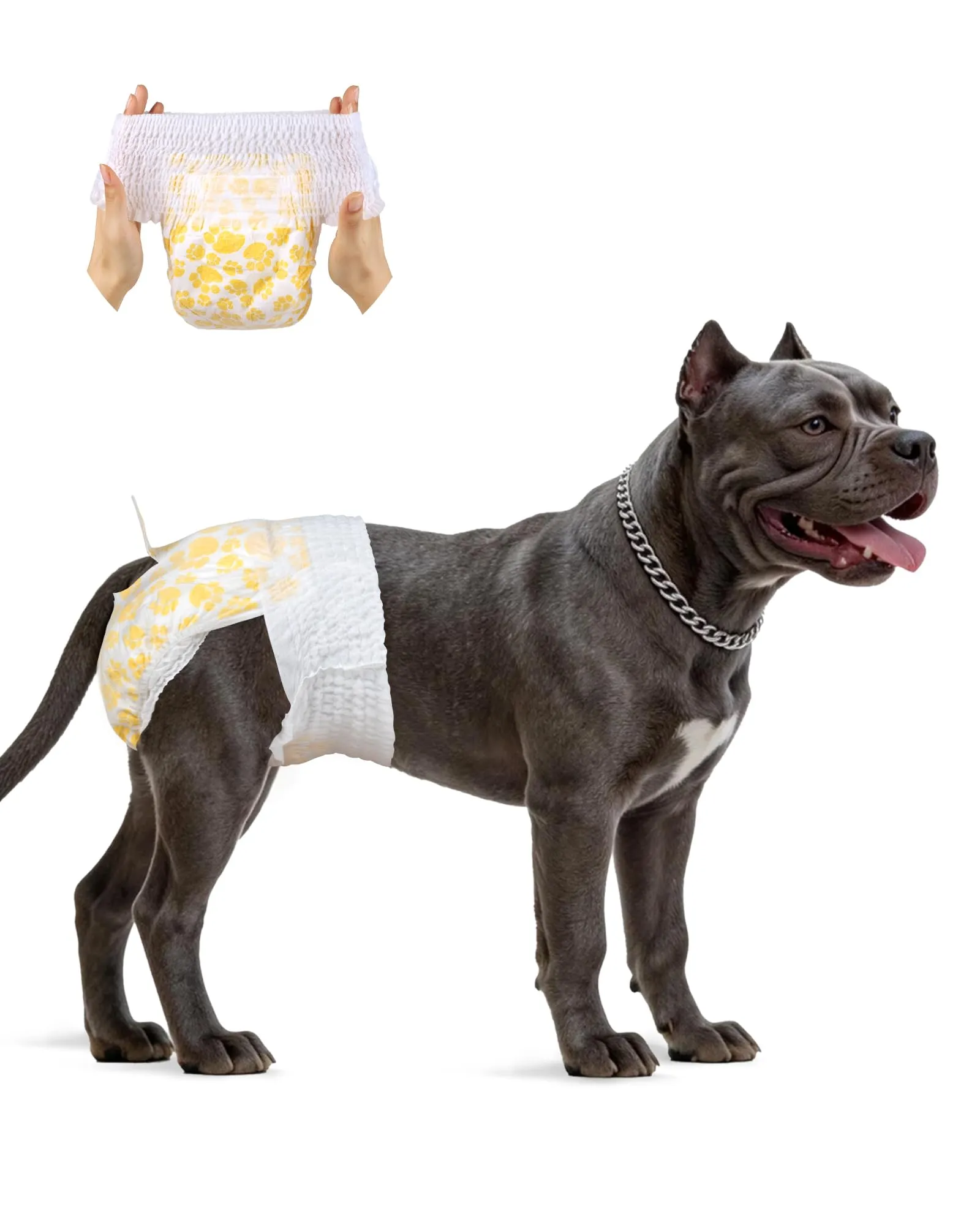 Flying Paws Pannolini Cane Usa e Getta Femmina con Elastico in Vita, XL-15 - immagine 1