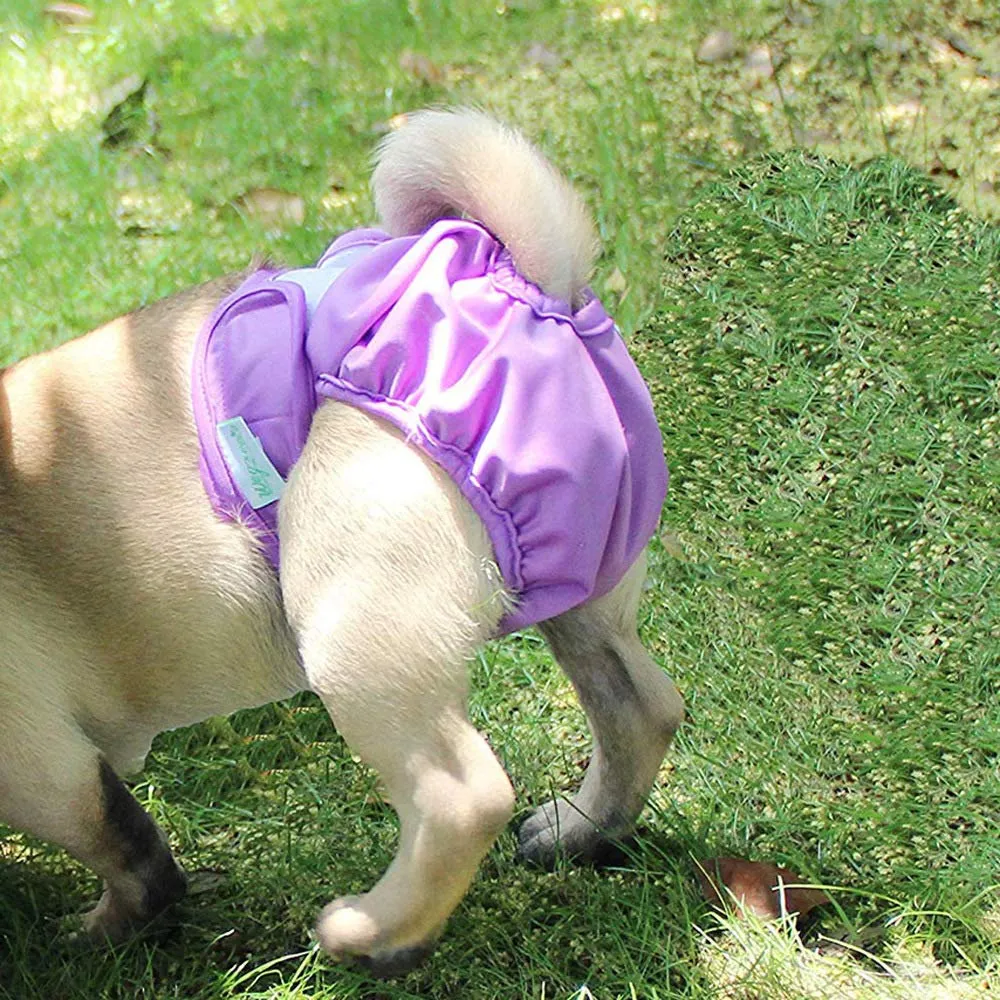 BePetMia Pannolini Lavabili per Cane Femmina, Mutande Riutilizzabili Assorbenti, Viola, M - immagine 6