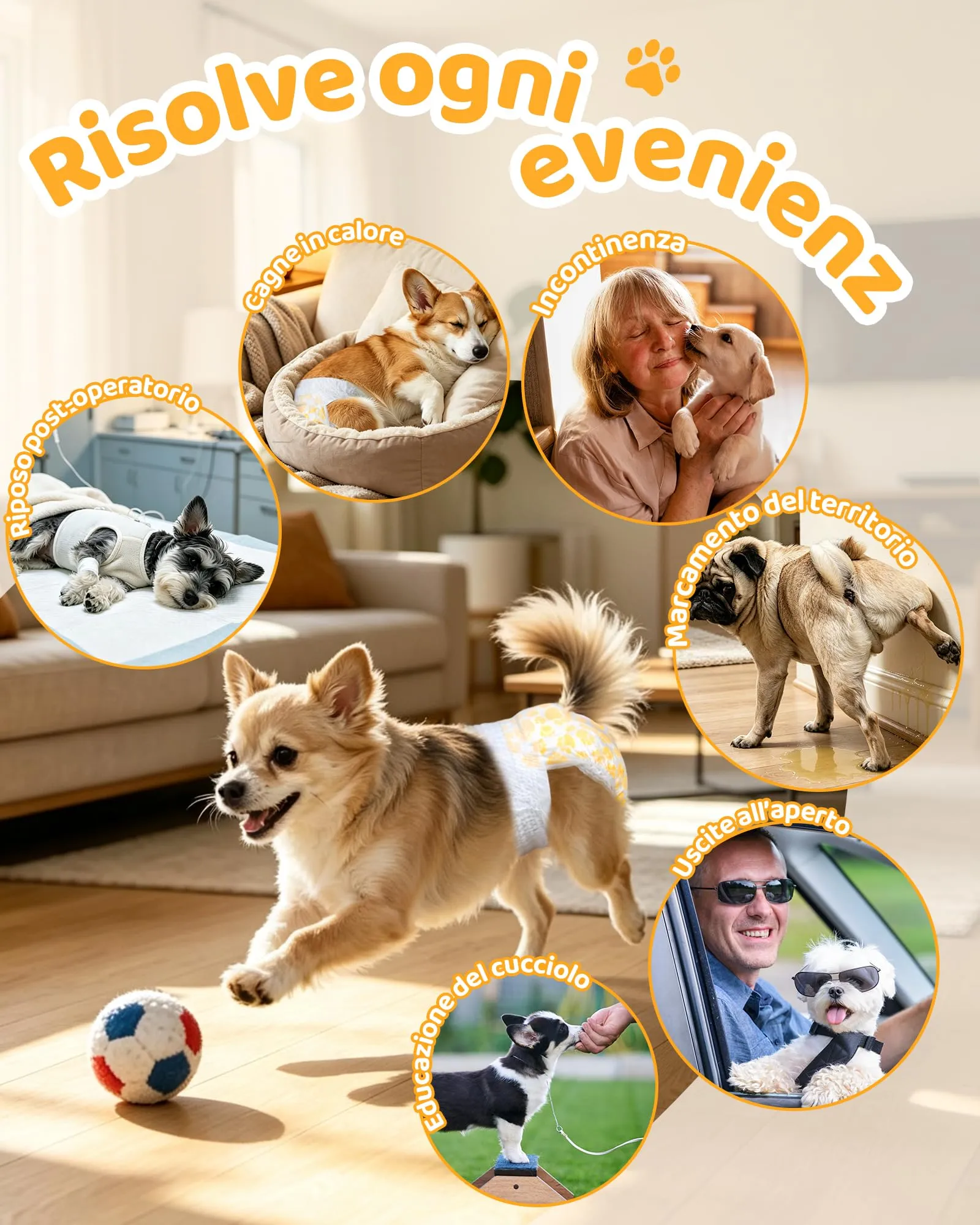 Flying Paws Pannolini Cane Usa e Getta Femmina con Elastico in Vita, L-15 - immagine 9