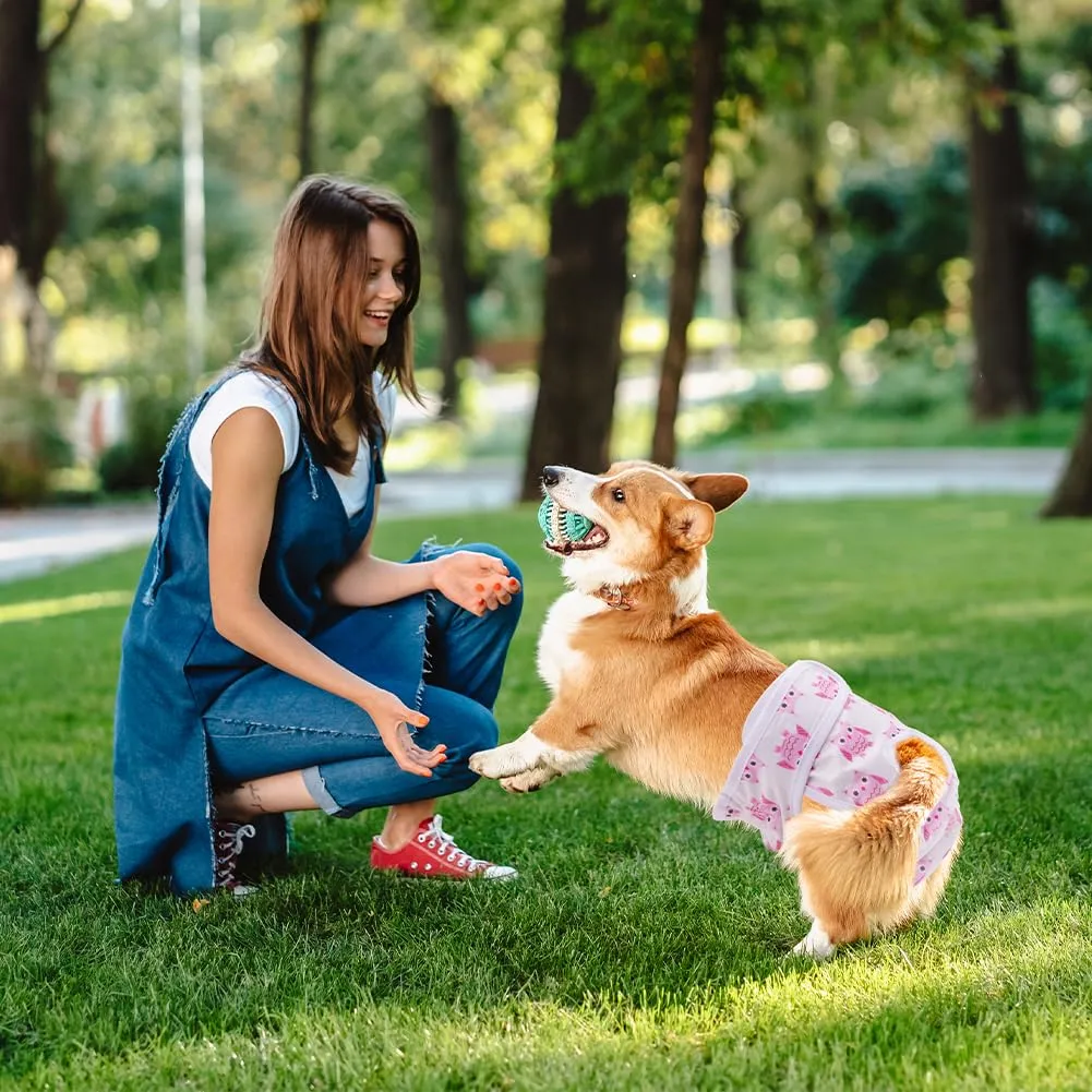 Aomig Pannolini Lavabili per Cani Femmina, Riutilizzabili e Assorbenti, Taglia L (3 Pezzi) - immagine 2