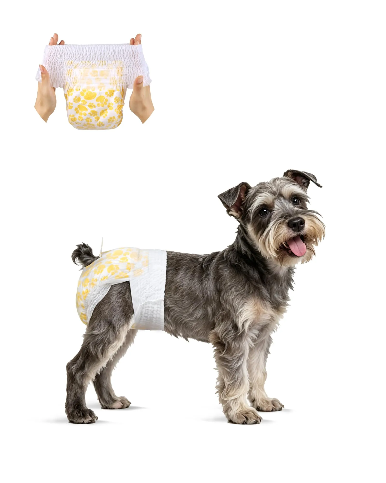 Flying Paws Pannolini Usa e Getta per Cane Femmina con Elastico in Vita, XS, 15 Pezzi - immagine 1