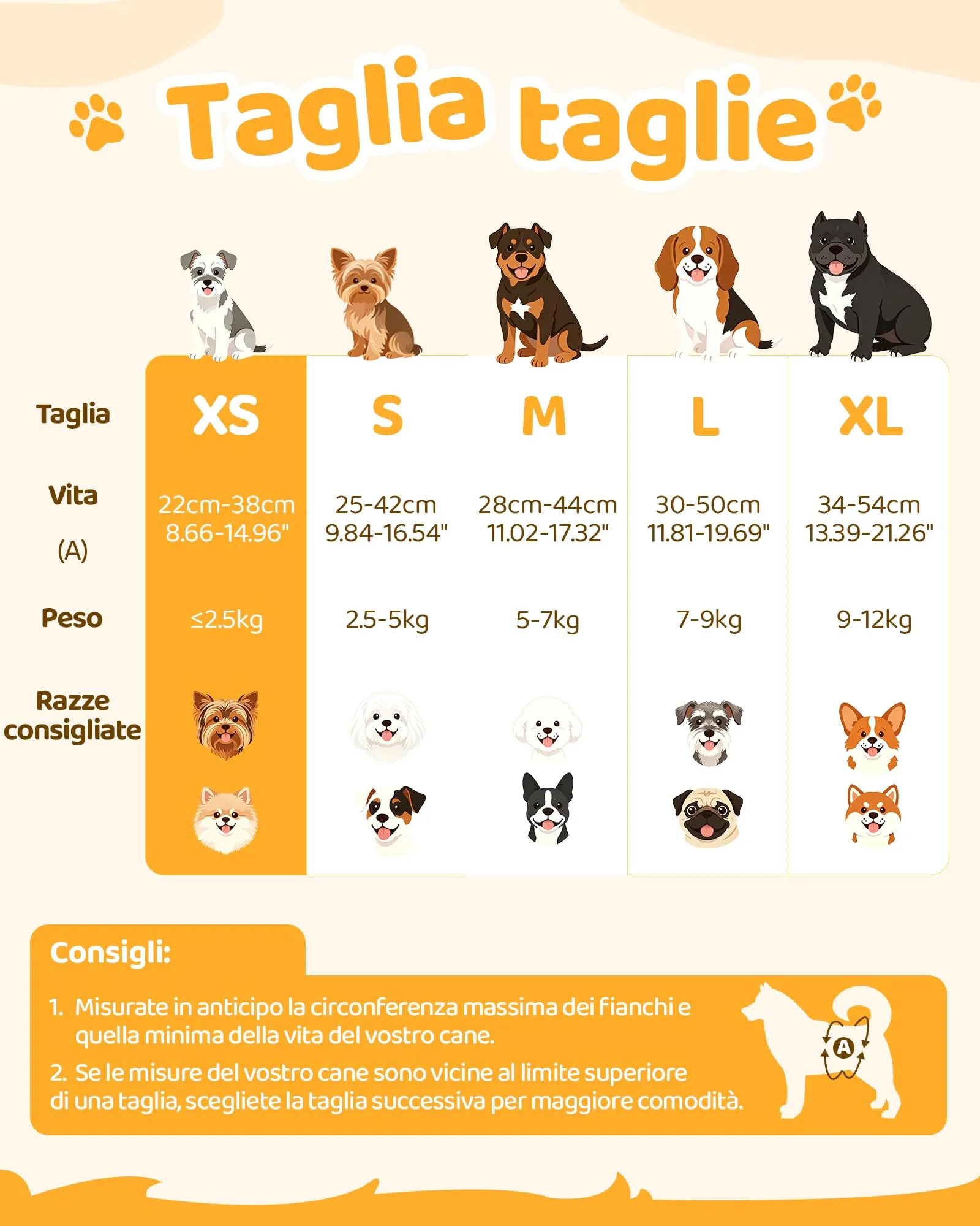Flying Paws Pannolini Usa e Getta per Cane Femmina con Elastico in Vita, XS, 15 Pezzi - immagine 6