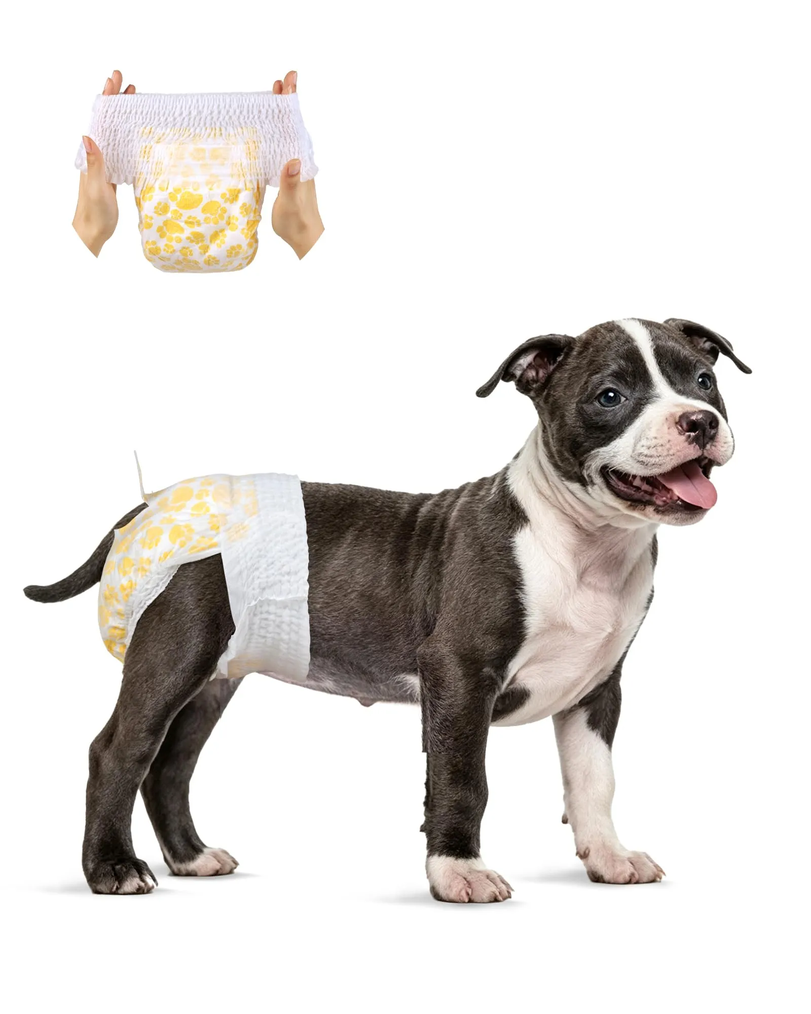 Flying Paws Pannolini Usa e Getta per Cane Femmina con Elastico in Vita, M-30 - immagine 1