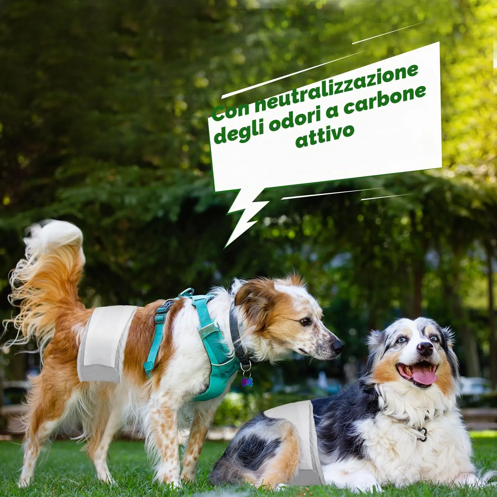 Flying Paws Pannolini per cani maschi, M, carbone attivo, 24 pezzi - immagine 9