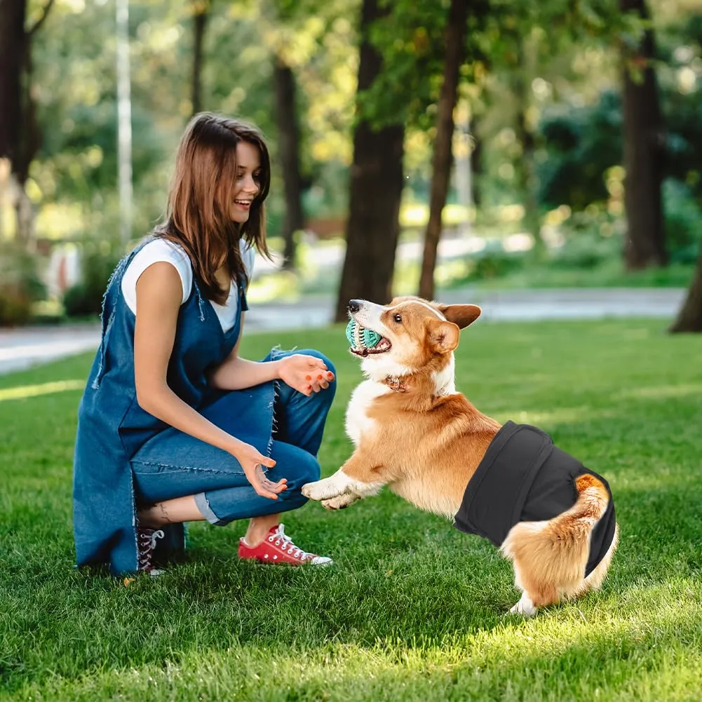 Aomig Pannolini Lavabili per Cani Femmina, Riutilizzabili e Assorbenti, Nero (L), 3 Pezzi - immagine 2