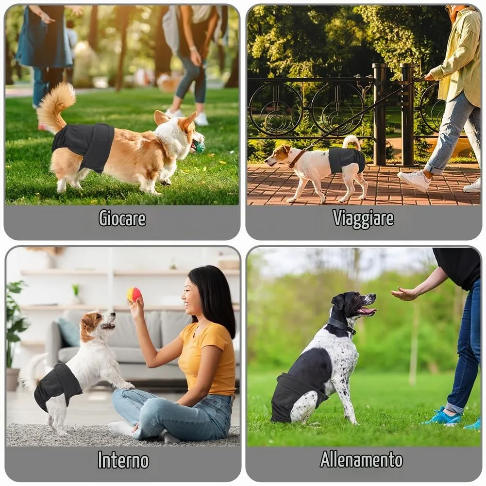 Aomig Pannolini Lavabili per Cani Femmina, Riutilizzabili e Assorbenti, Nero (L), 3 Pezzi - immagine 7