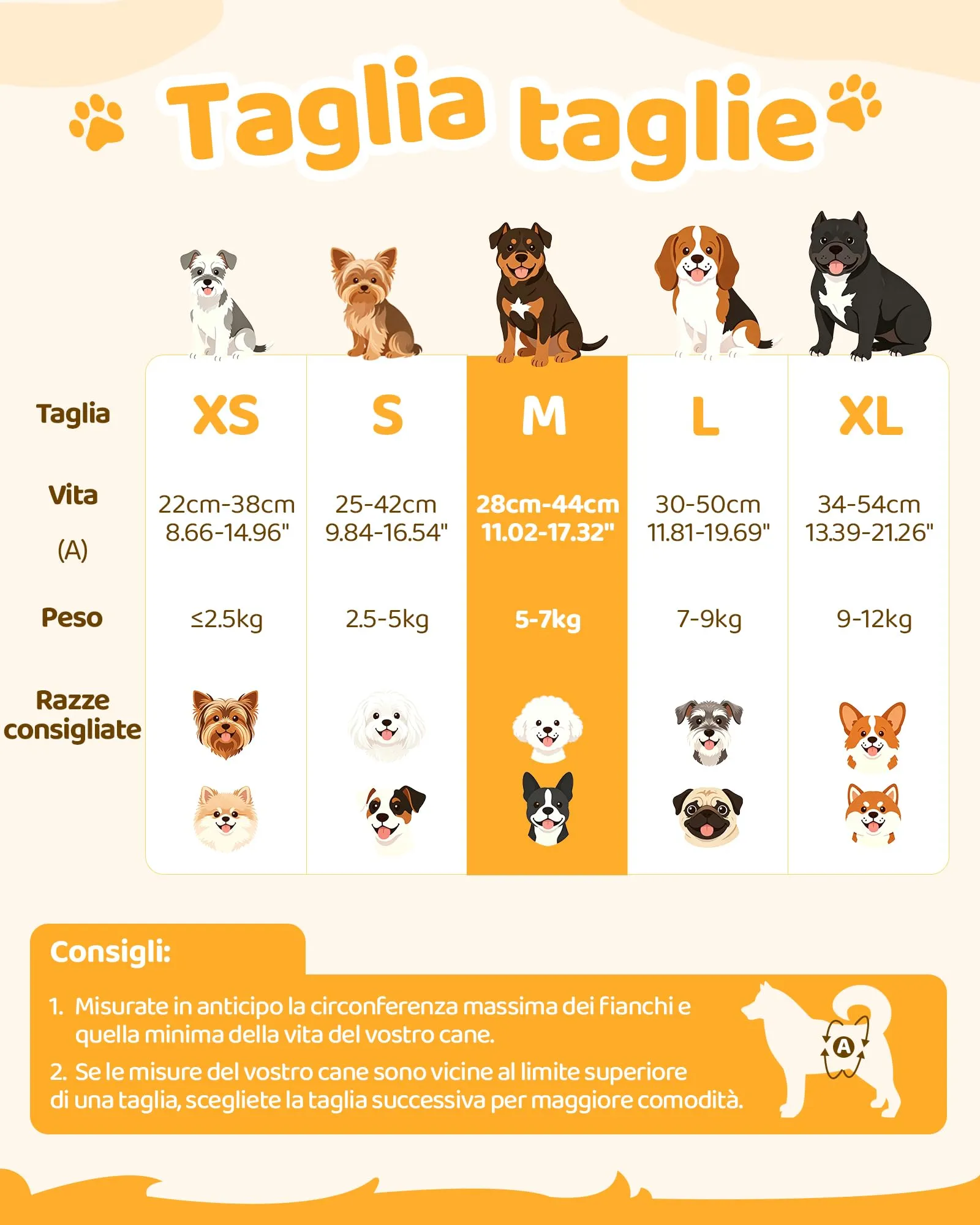 Flying Paws Disposable Dog Diapers for Females with Elastic Waist, M-15 - immagine 6