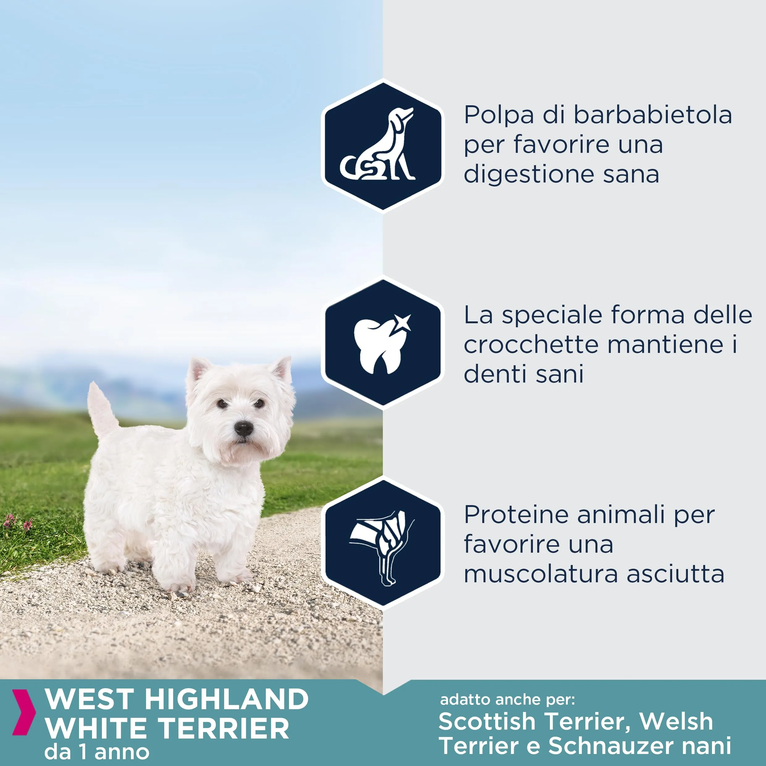 Eukanuba Breed Specific Crocchette per West Highland White Terrier, 2,5 kg - immagine 4