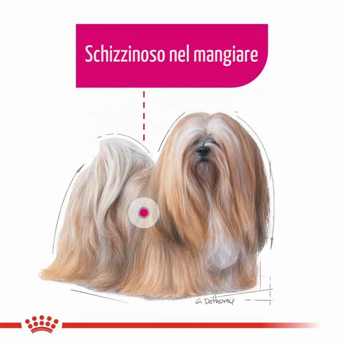 Royal Canin Cibo Per Cani Al Gusto Di Pollo 3kg - immagine 6