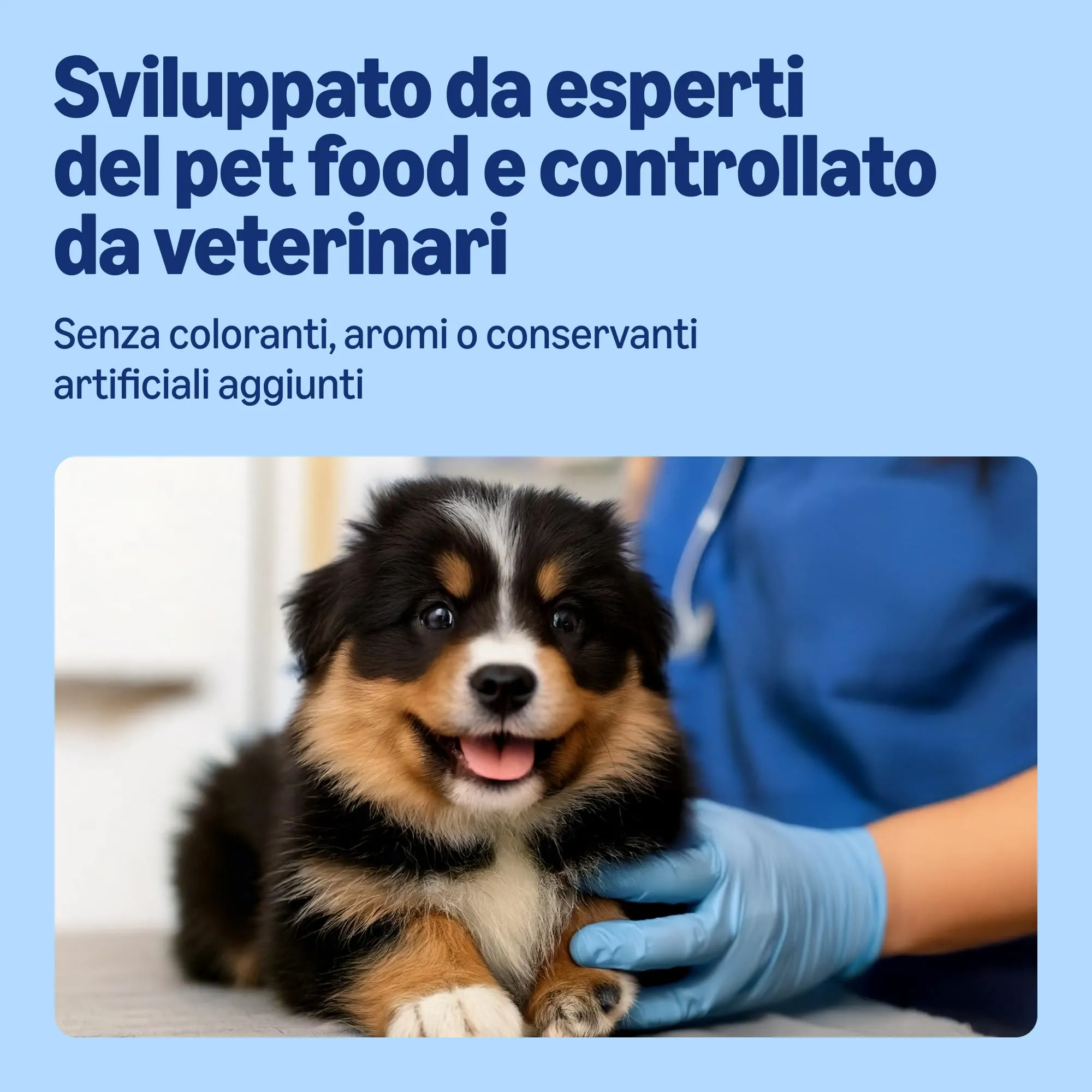 Amazon Alimento Secco per Cuccioli di Cane con Pollo, 5 kg - immagine 3