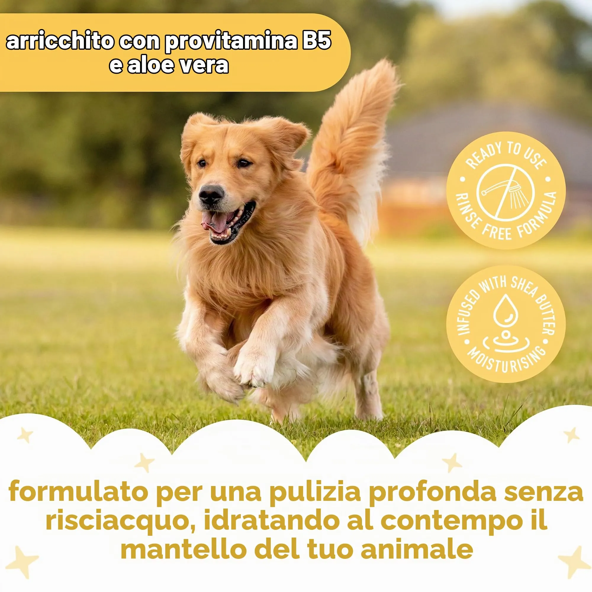 Buddycare Shampoo secco per cani alla vaniglia e burro di karité per pelli sensibili, 200 ml - immagine 3