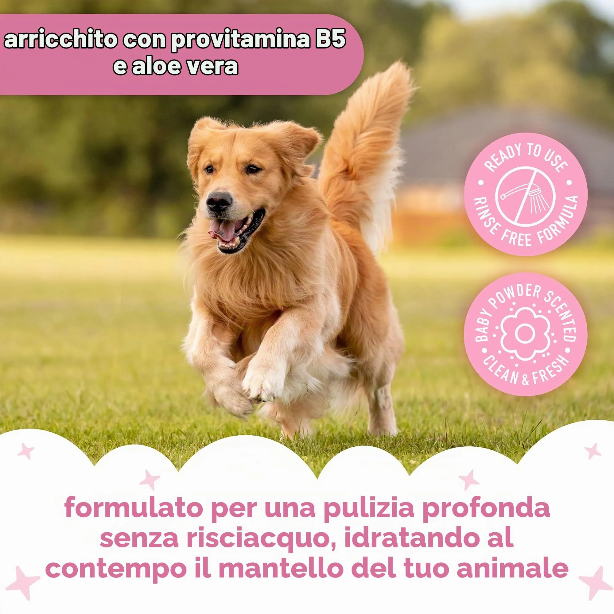 Buddycare Shampoo Secco per Cani Baby Fresh per Pelli Sensibili, 200 ml - immagine 3