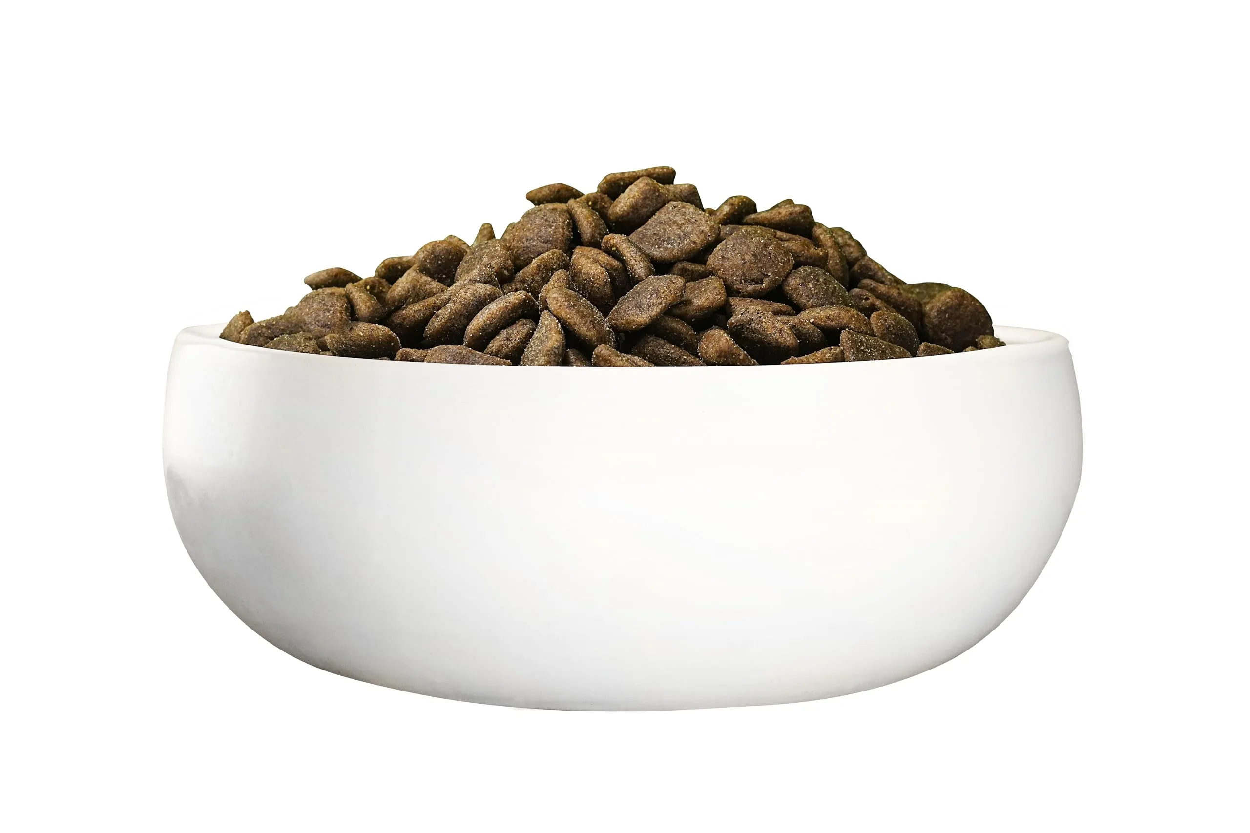 Green Petfood InsectDog Ipoallergenico per Adulti, Senza Cereali, 10 kg - immagine 6
