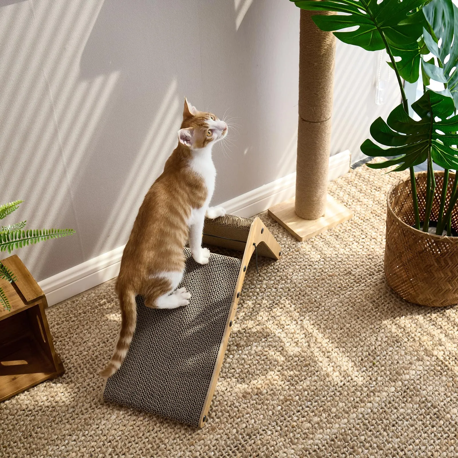FUKUMARU Tiragraffi per Gatti a Forma di L, 48 cm, in Cartone con Pallina - immagine 8
