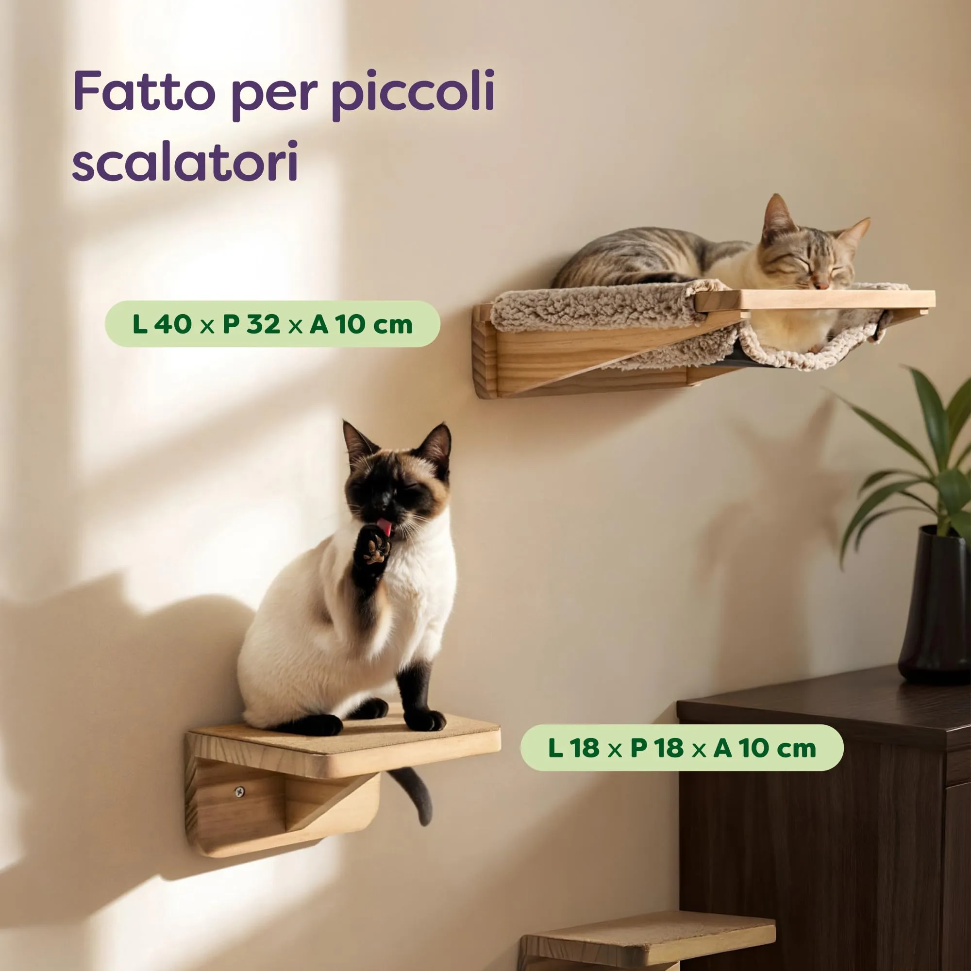 Knupis Mensole da Parete per Gatti con Amaca e 2 Scale – Pino FSC Beige - immagine 2